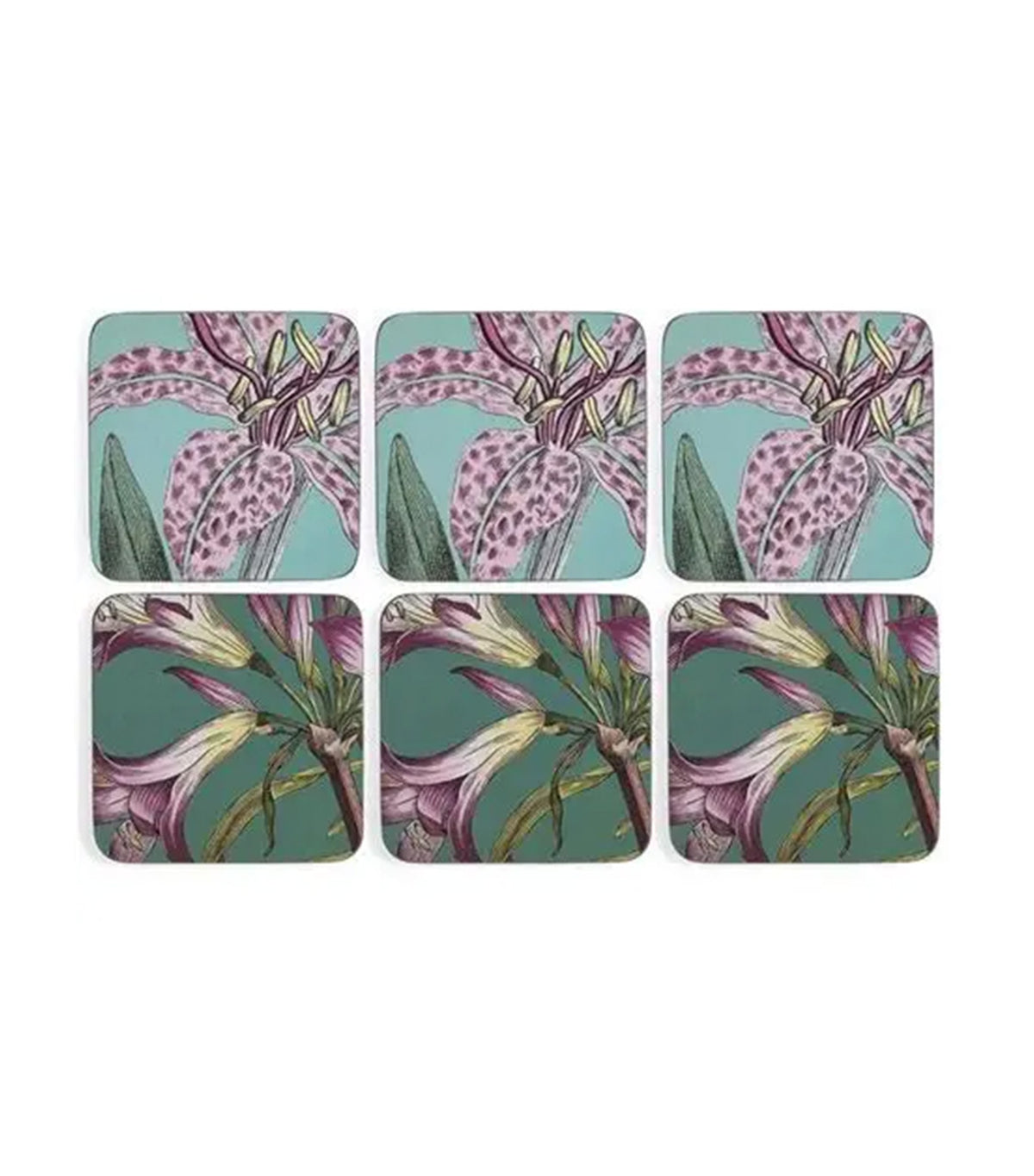 Botanic Garden Flora & Fauna Coasters Set of 6