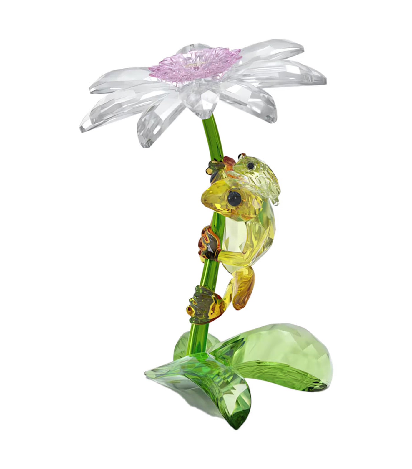 Idyllia Frogs and Flower