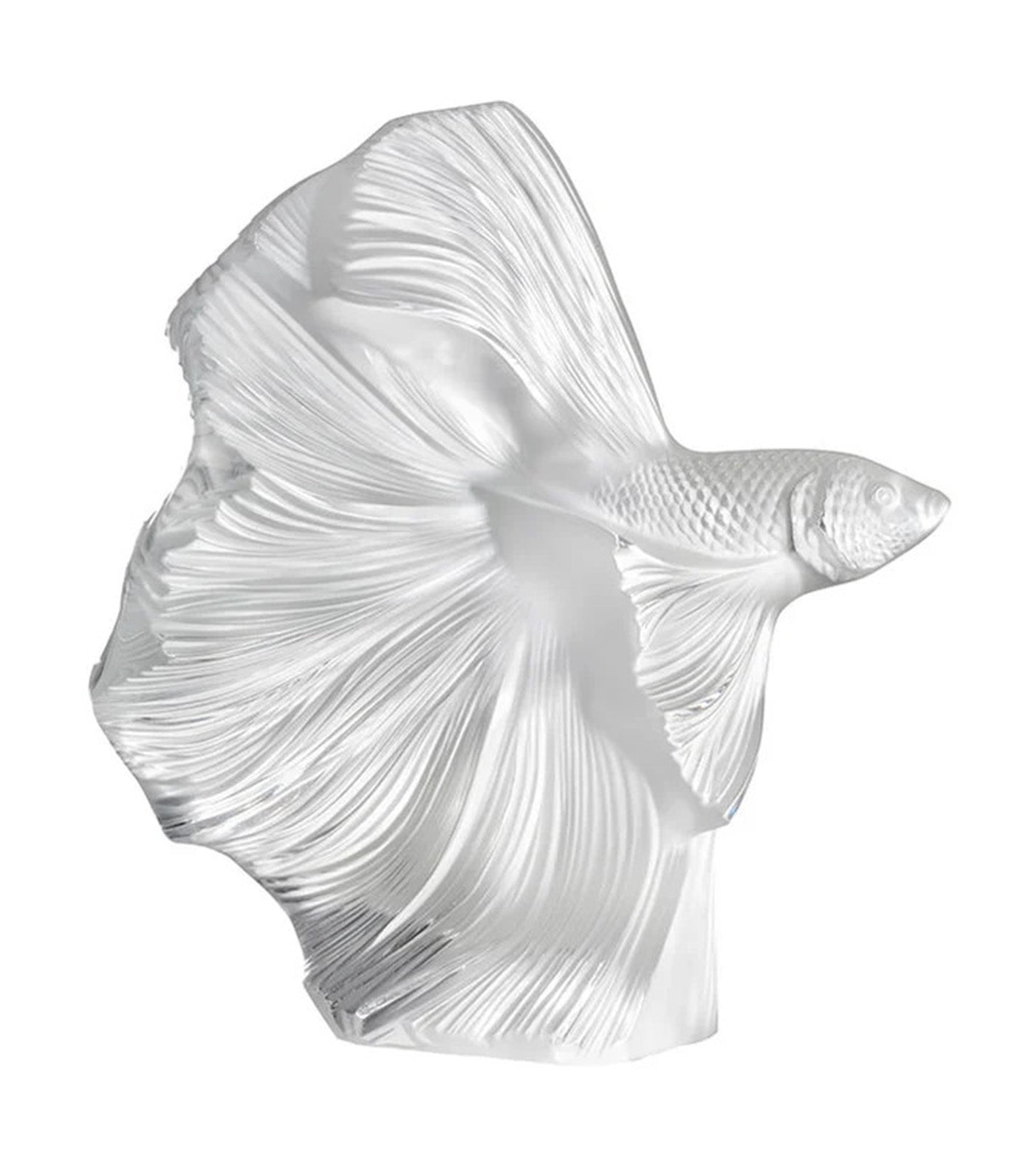 Fighting Fish Large Clear