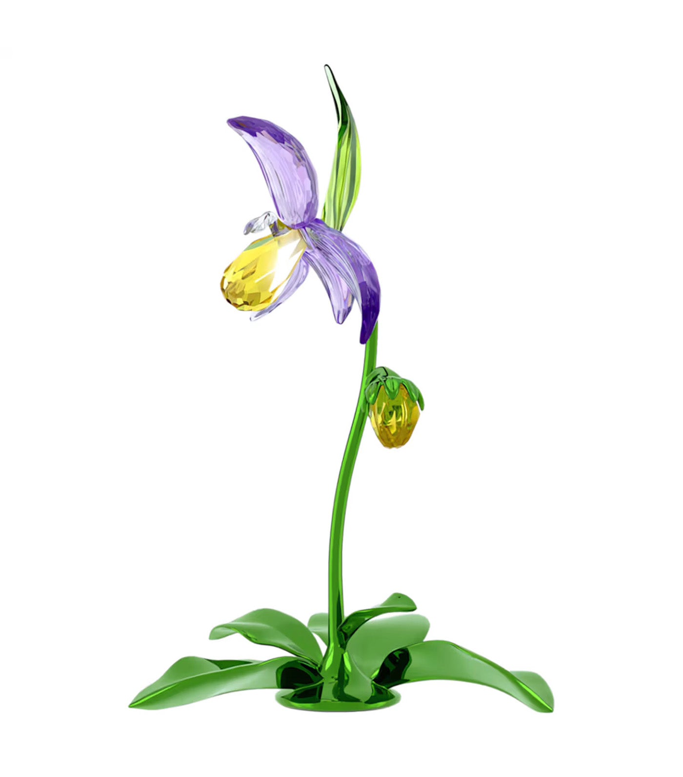 Florere Lady Slipper Orchid