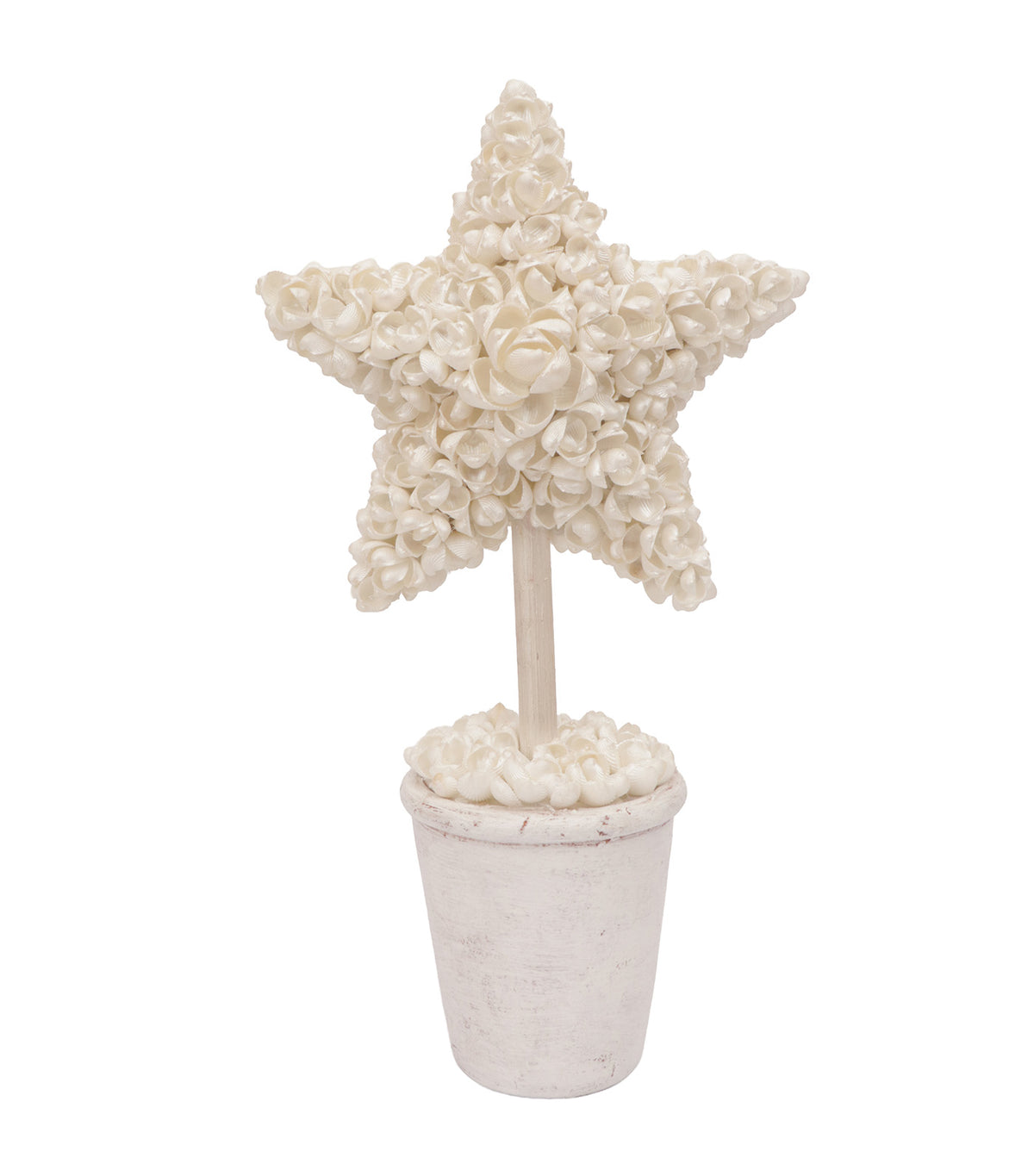 17in Rown Cockle Shell Star Finial