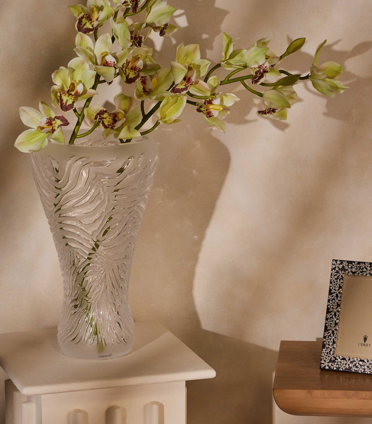 Zebre Vase Large Clear