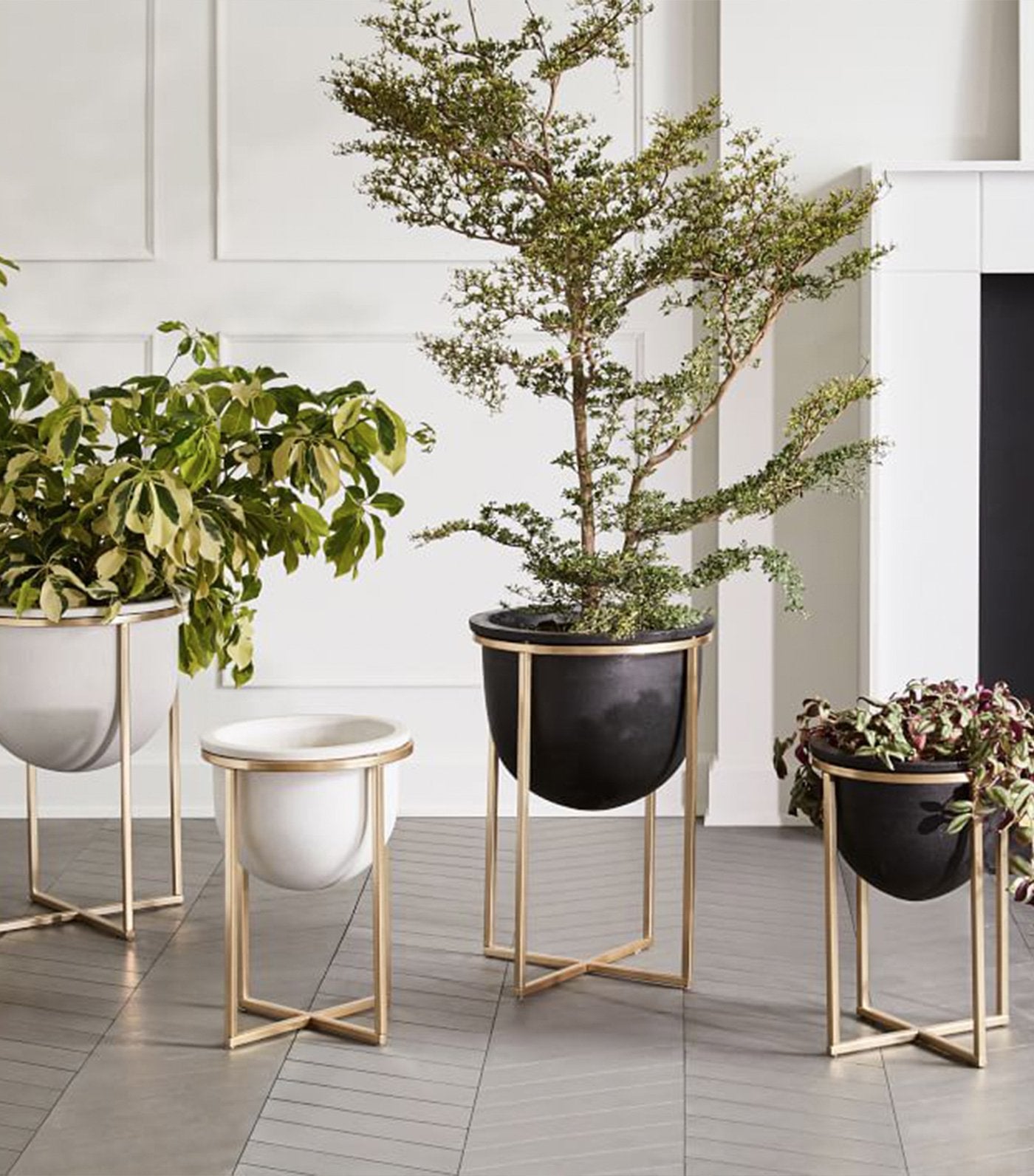 west elm eden cross base standing planters