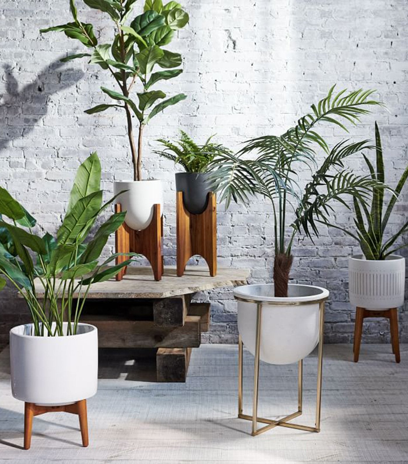 west elm eden cross base standing planters