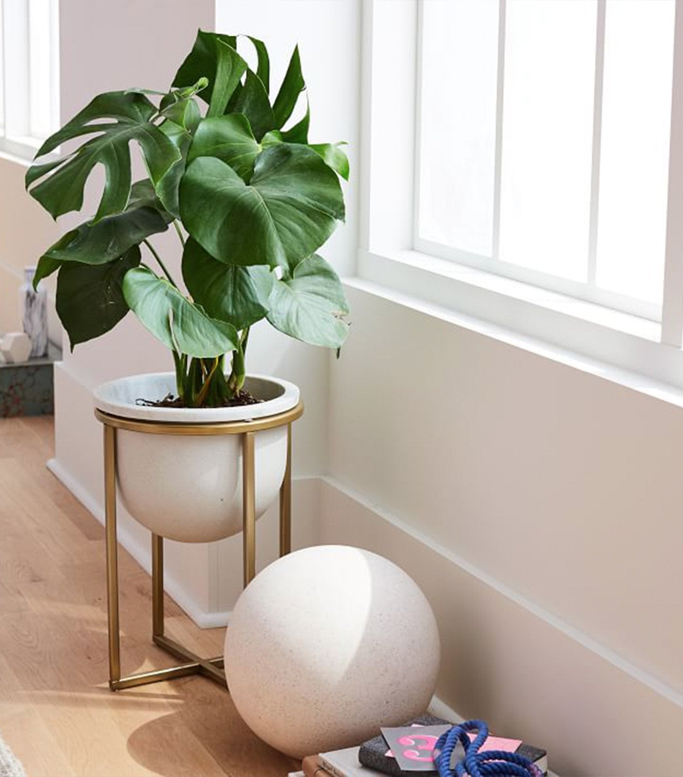 west elm eden cross base standing planters