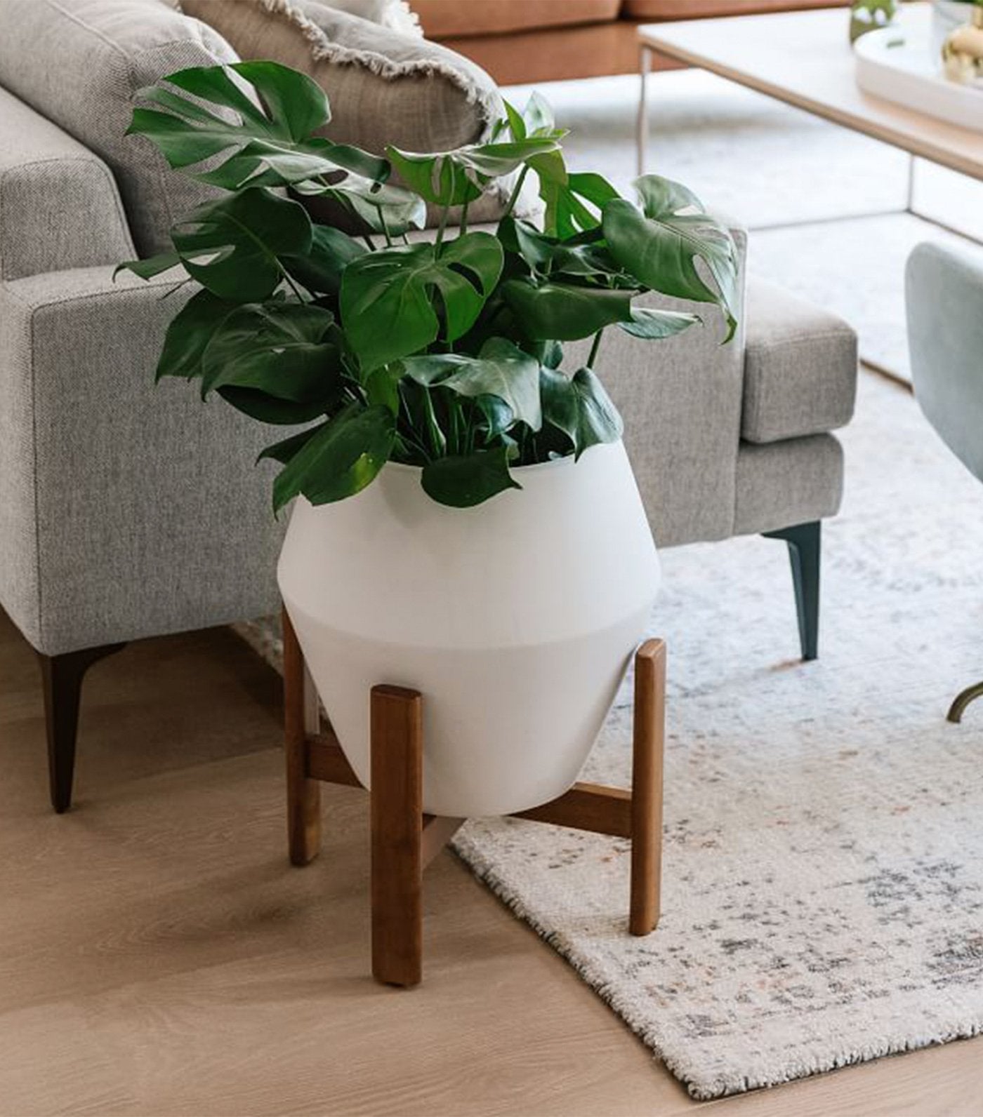 west elm ilya turned wood planters - white