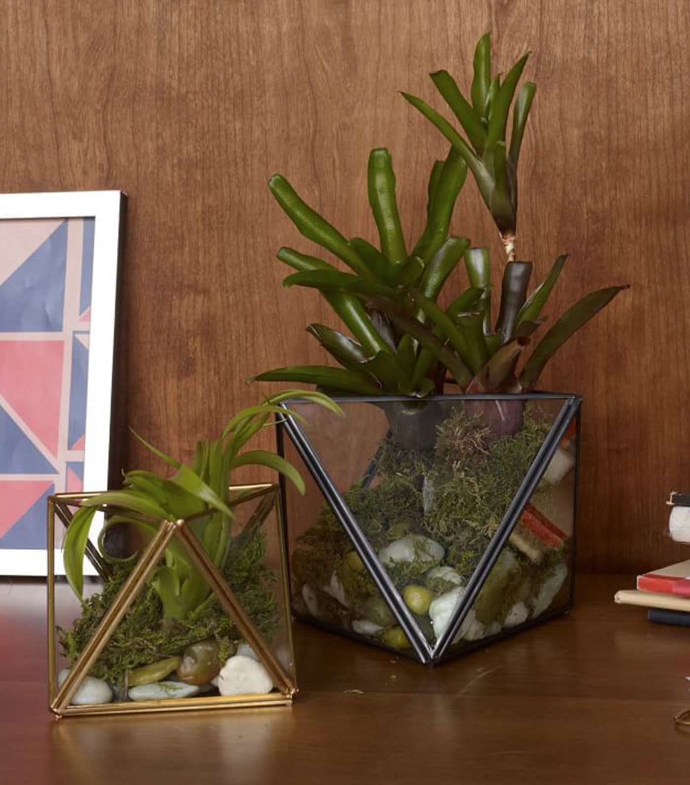 west elm glass and metal faceted terrariums