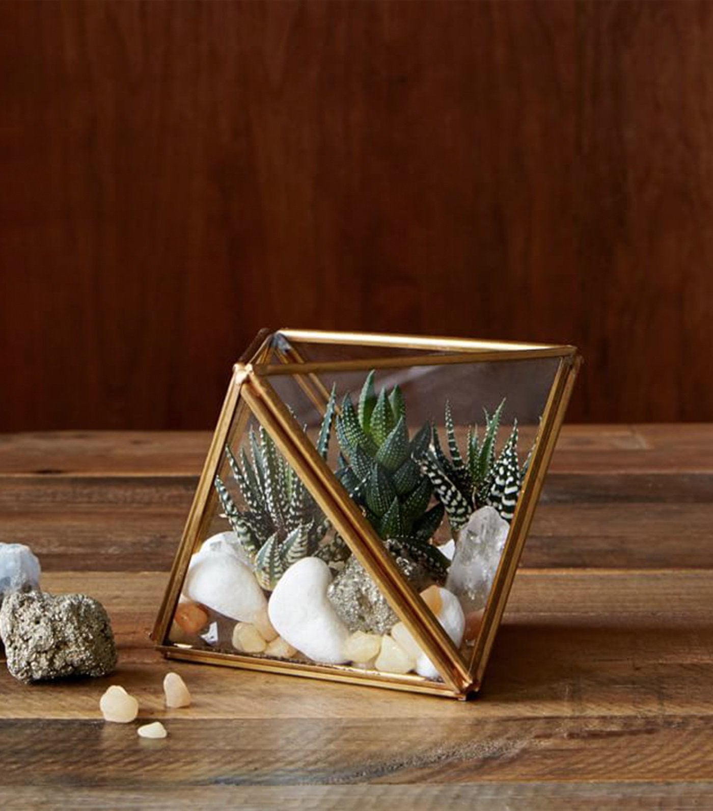 west elm glass and metal faceted terrariums