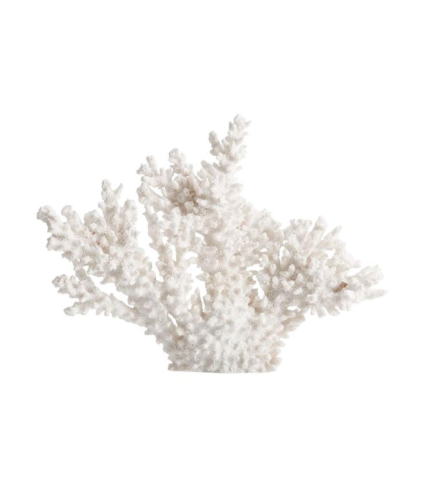 Pottery Barn White Spike Coral