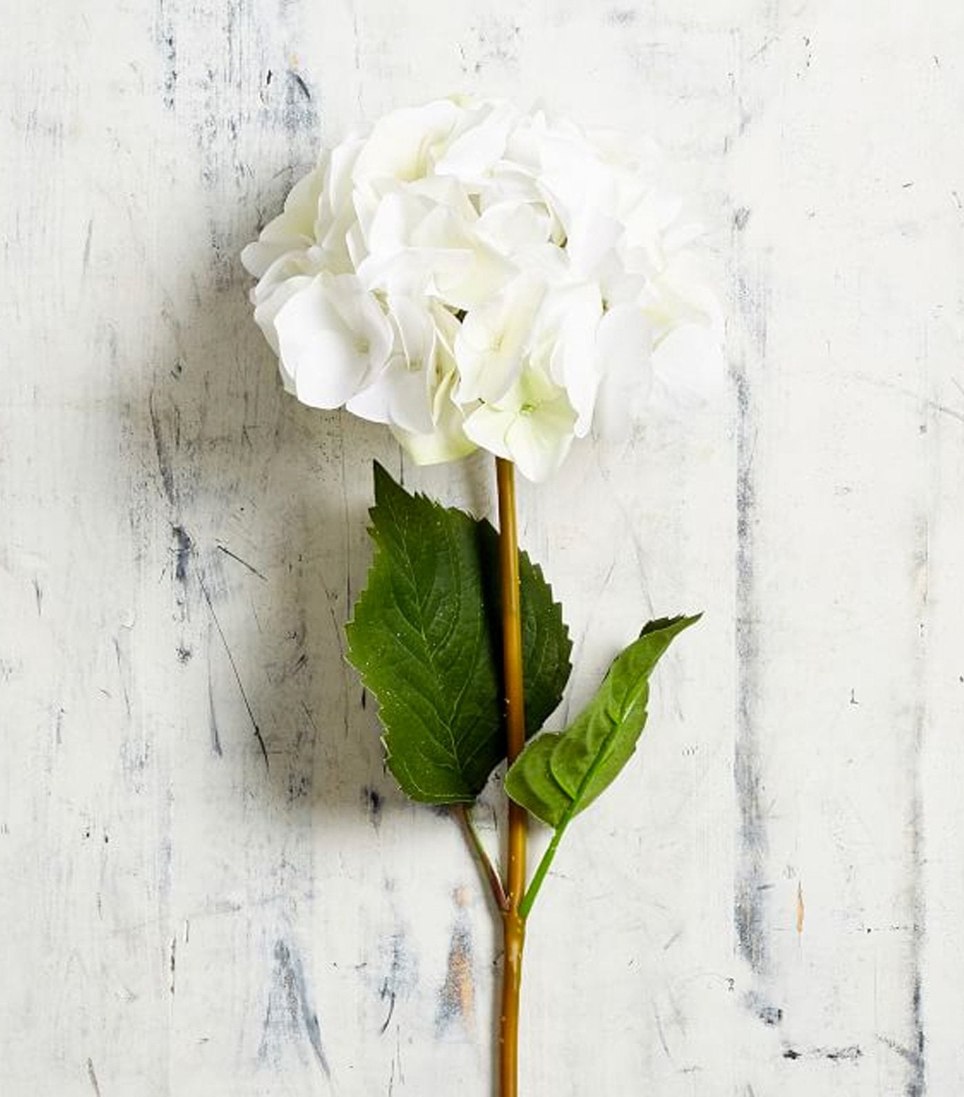 Pottery Barn Faux Hydrangea Stem - White