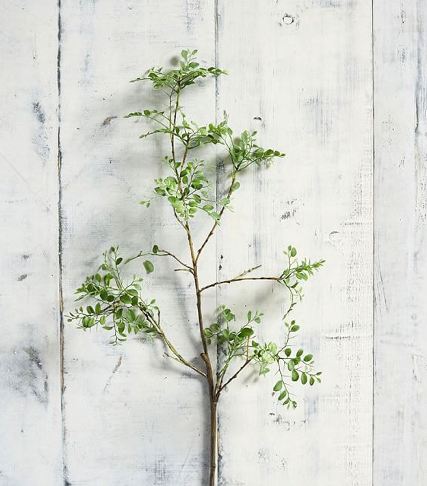 Pottery Barn Faux Green Petal Leaf Branch