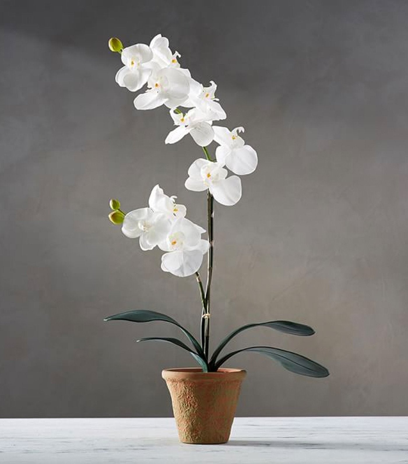 Pottery Barn Faux Potted Orchid