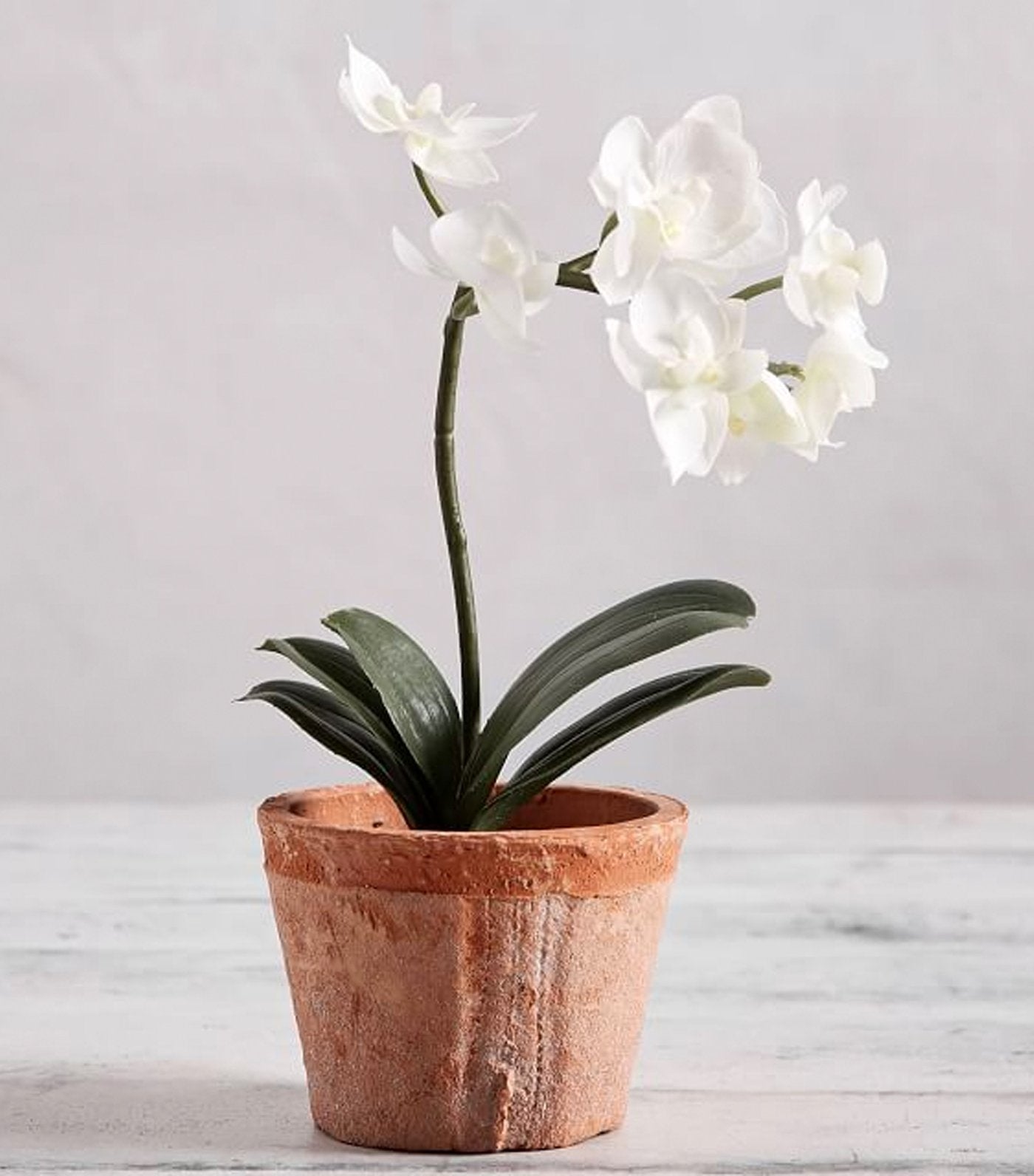 Pottery Barn Mini Faux Potted Orchid