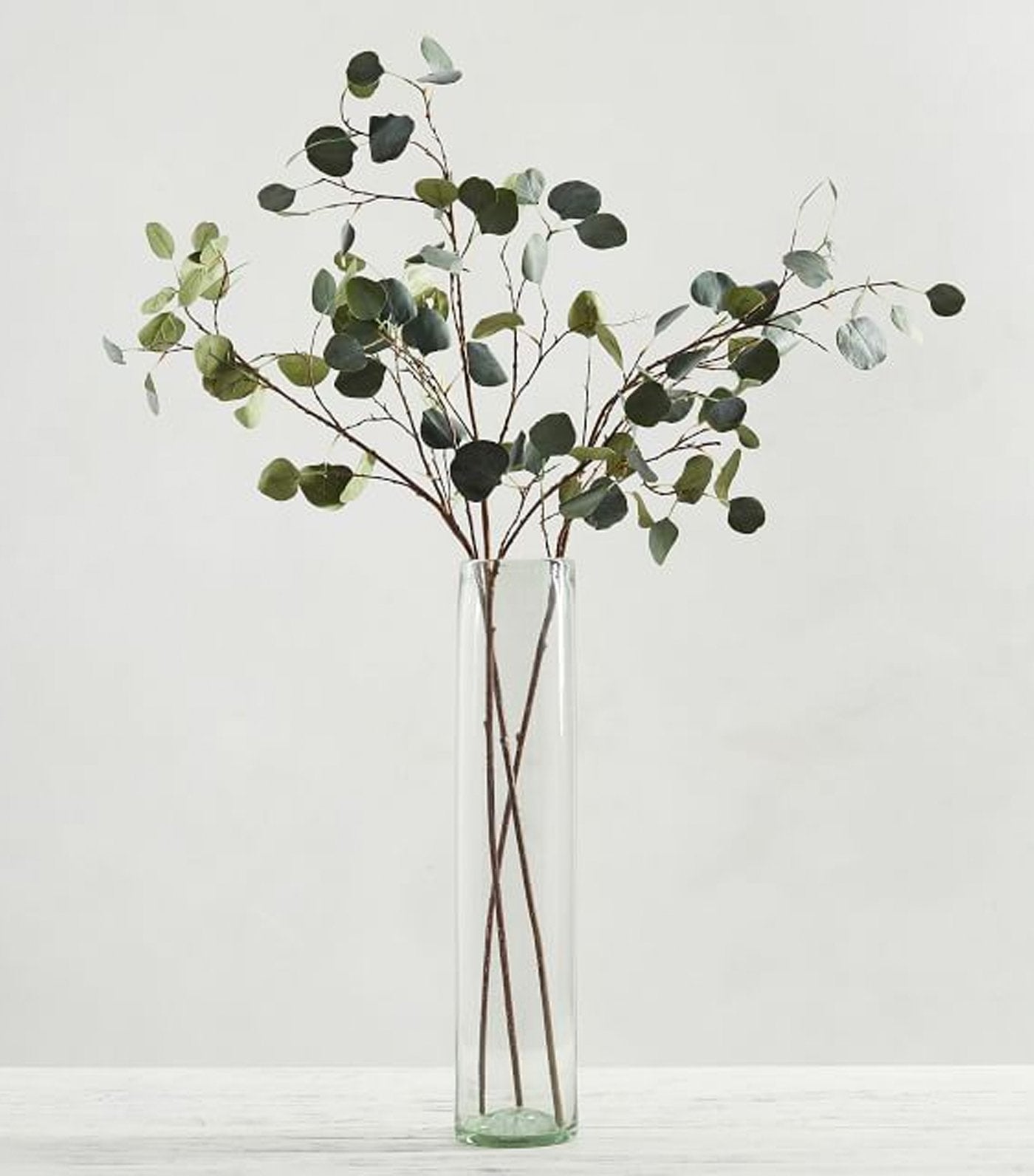 Pottery Barn Faux Silver Dollar Eucalyptus Branch