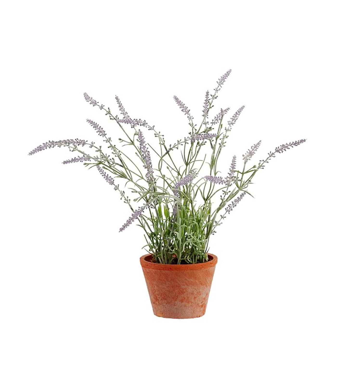 Pottery Barn Faux Potted Lavender - Medium