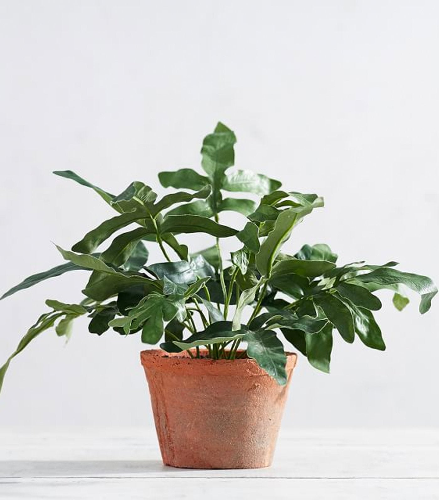 Pottery Barn Faux Potted Kangaroo Paw Fern