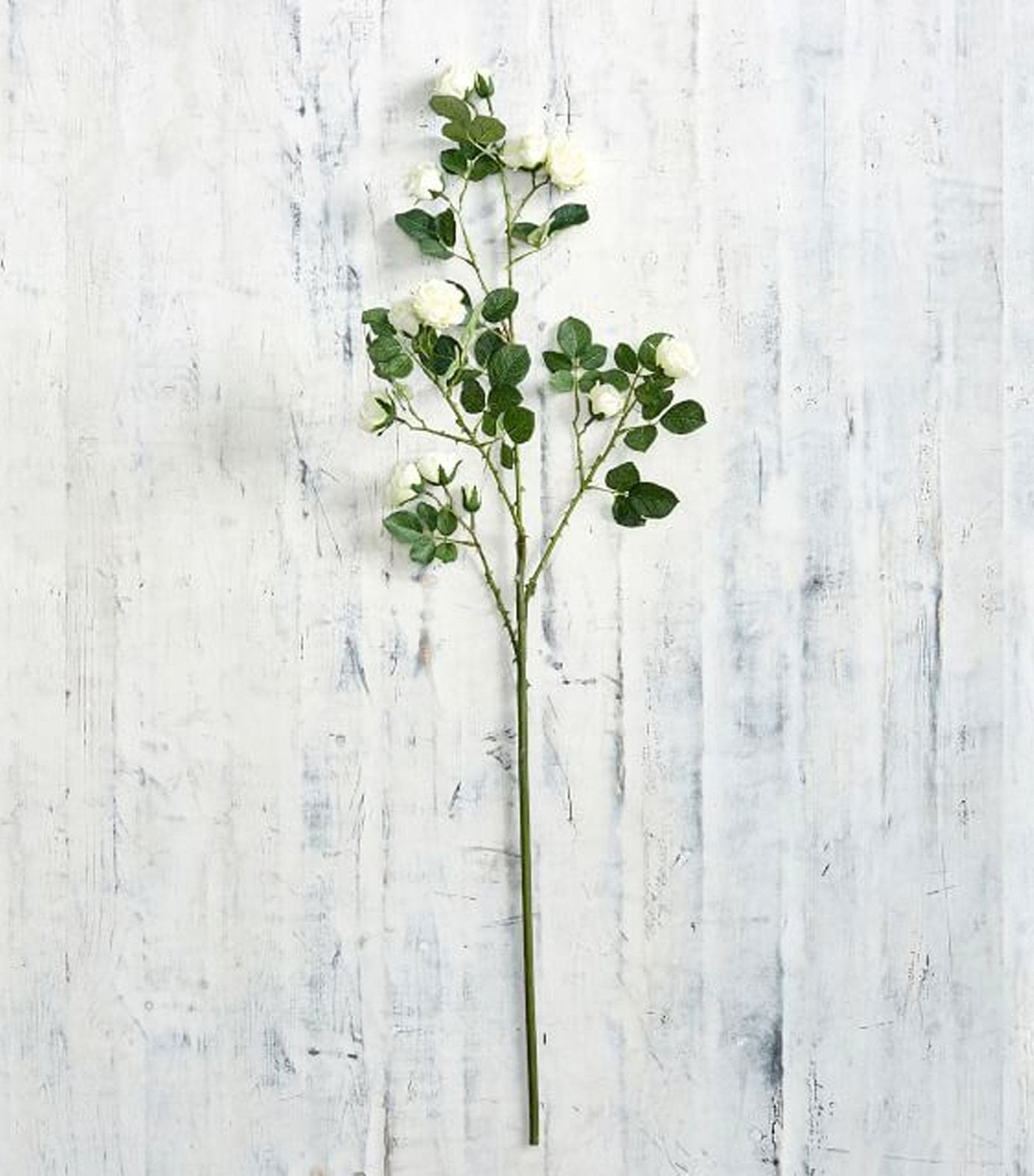 Pottery Barn Faux Rose Branch - White