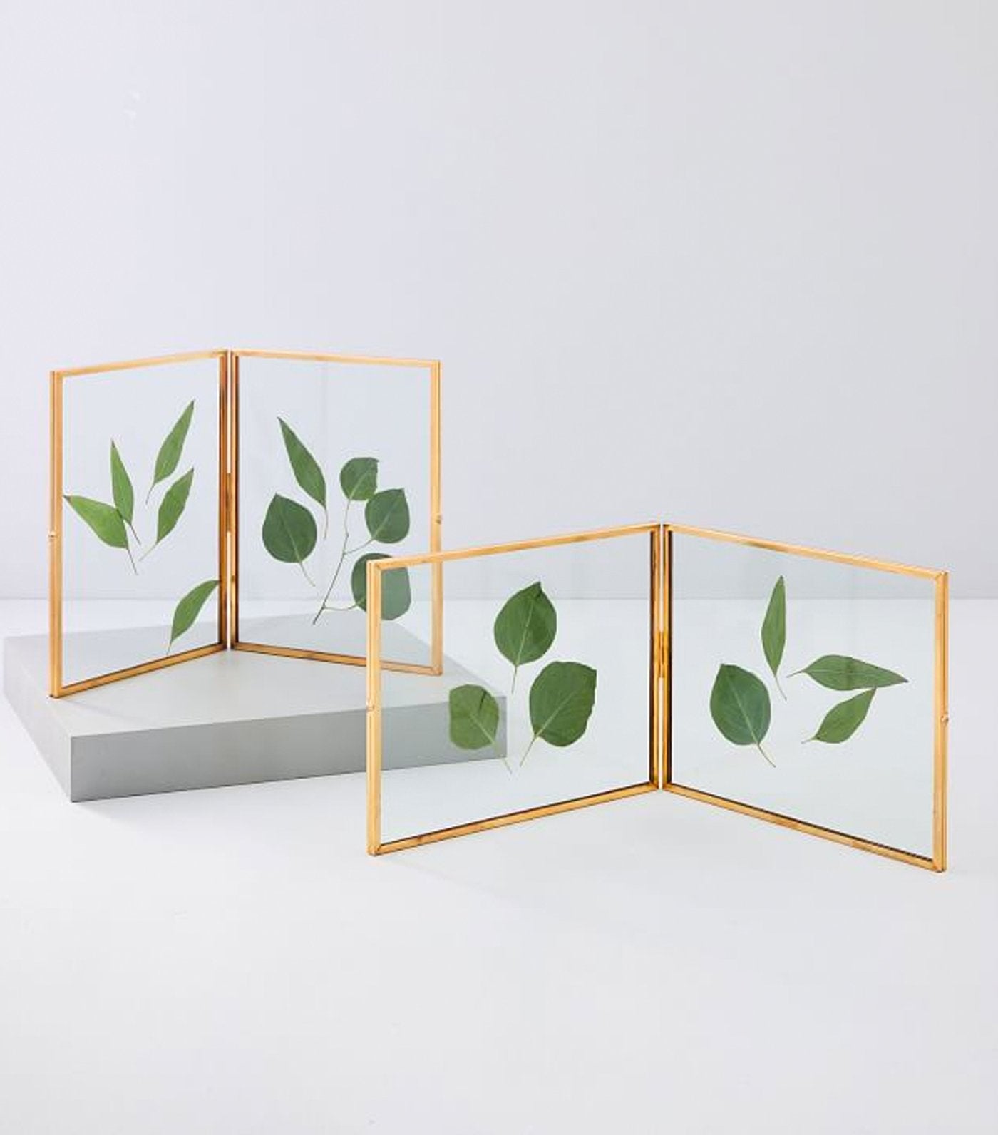 west elm Terrace Floating Double Frame