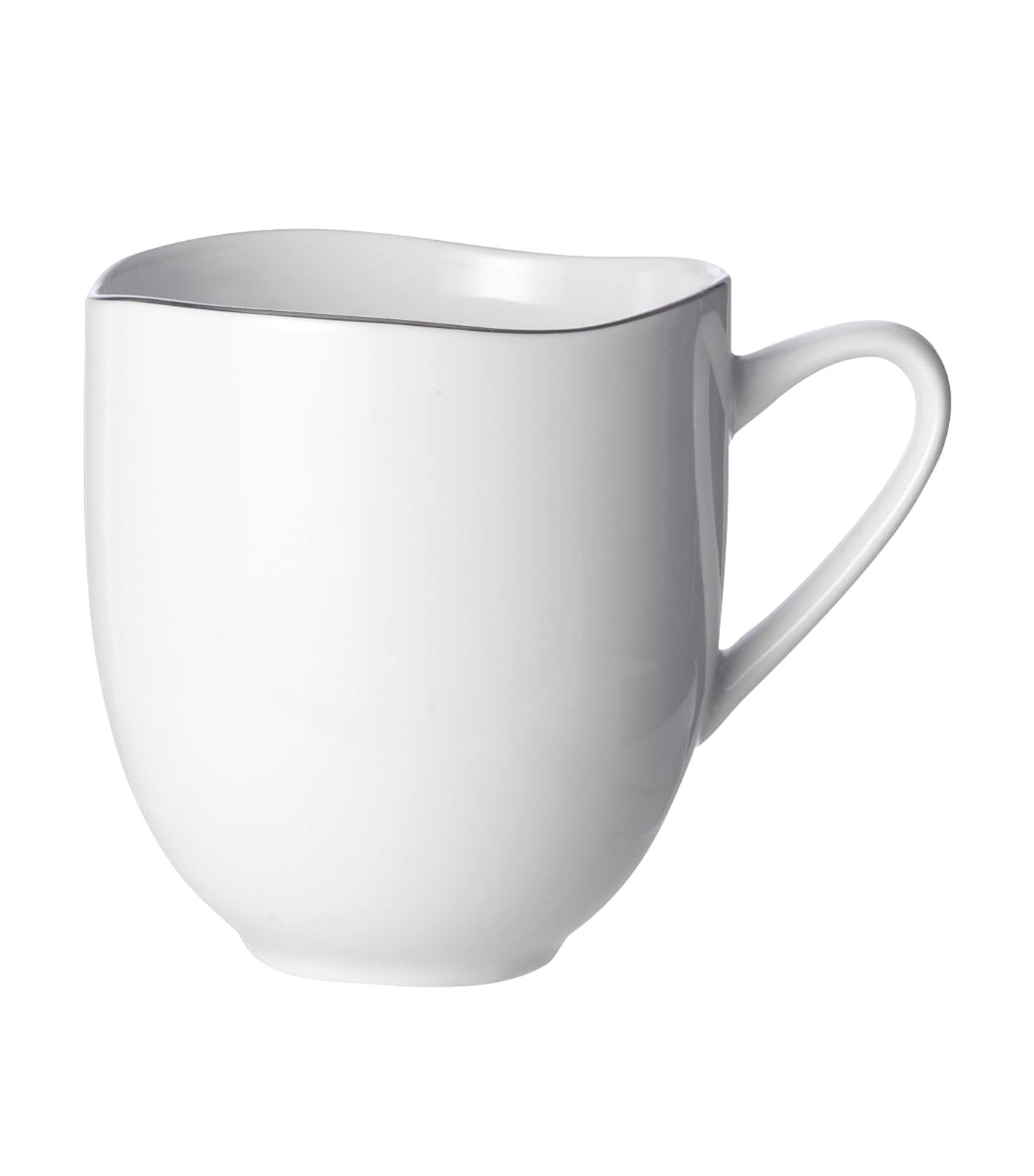 west elm Organic Shaped Silver Rim Dinnerware Collection