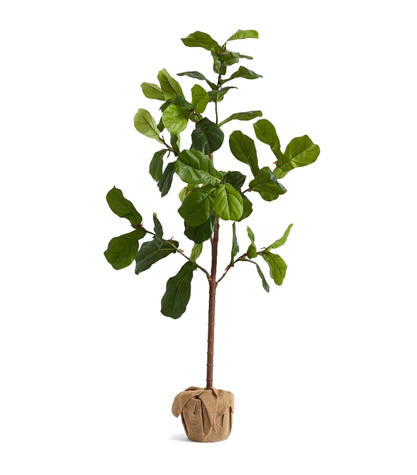 Pottery Barn Faux Potted Fiddle Leaf Fig Tree