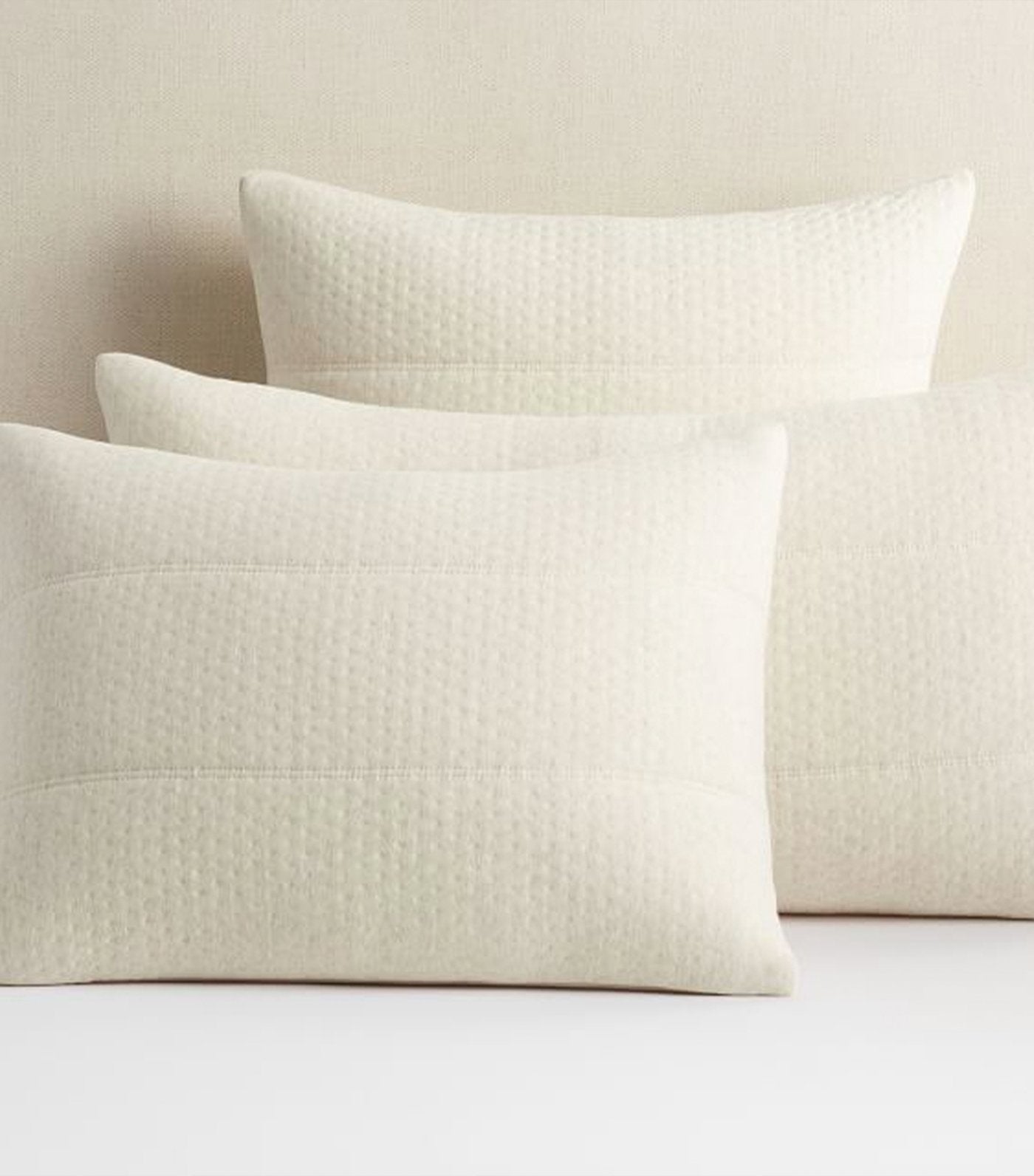Pottery Barn Cozy Fleece Comforter and Shams - Oatmeal