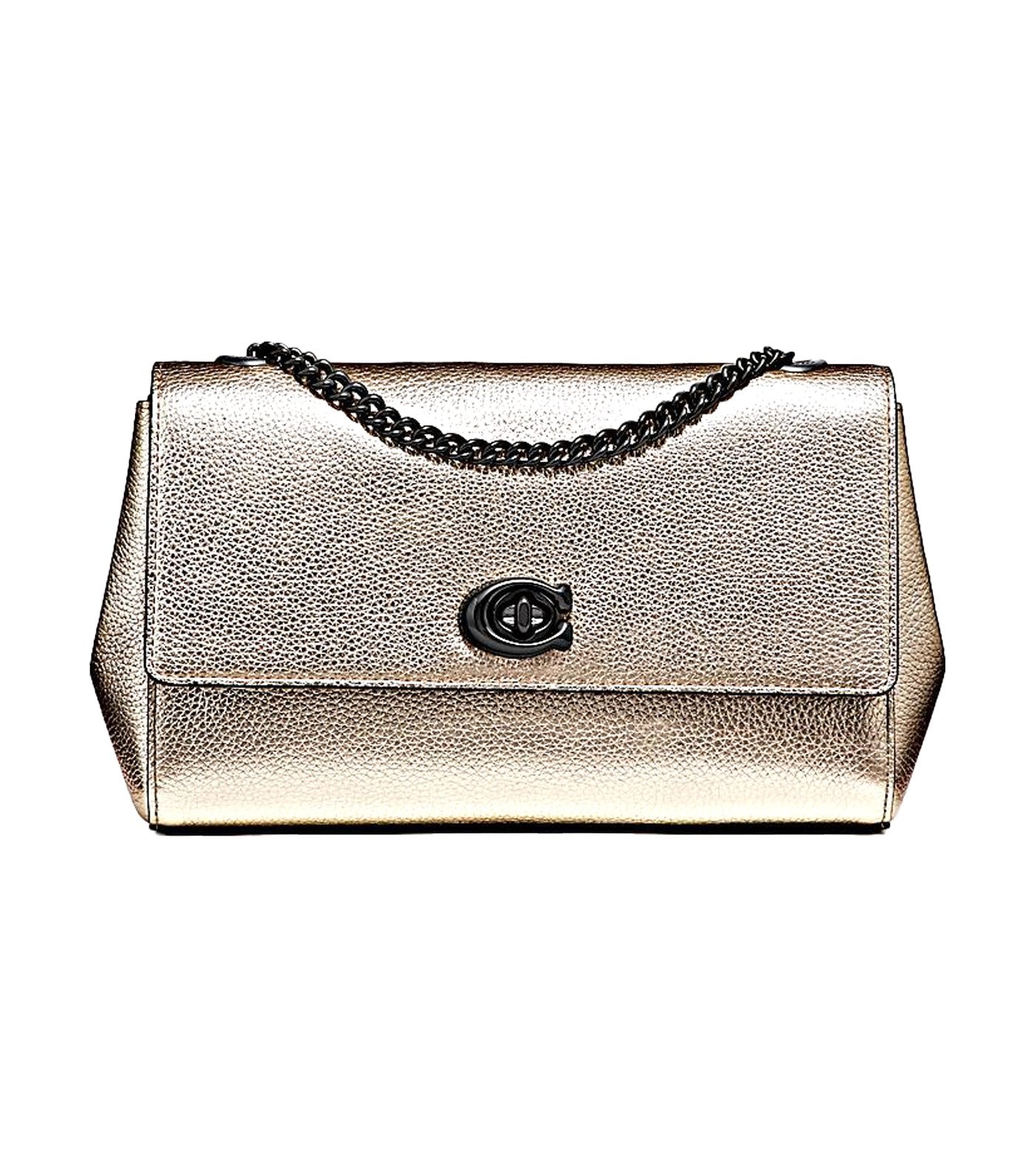 Cam Chain Leather Crossbody Clutch Platinum