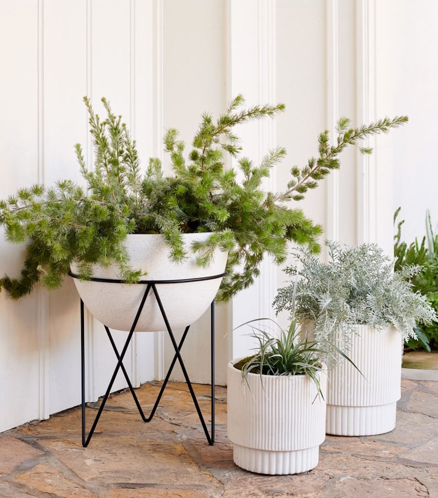 west elm Fluted Planters - White
