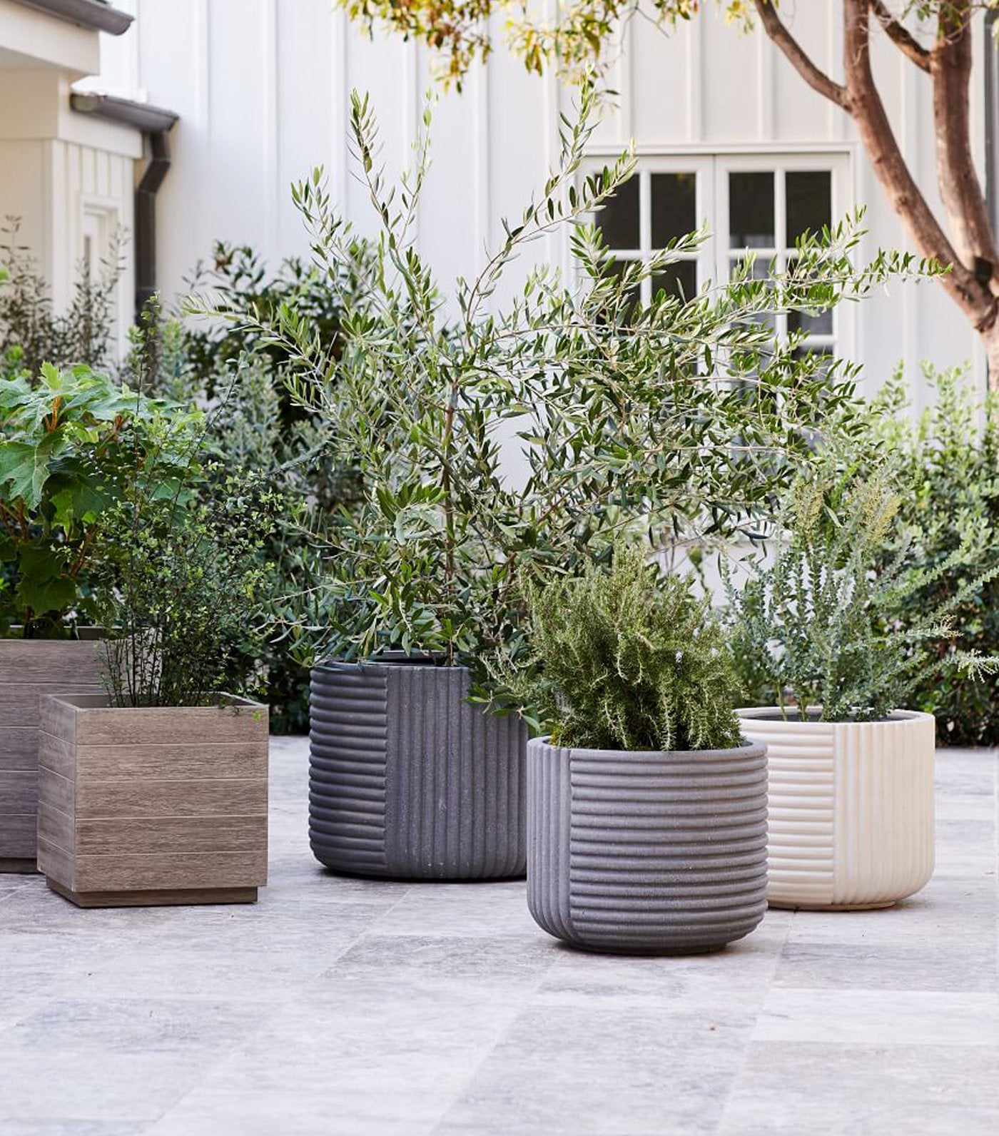 west elm Cecilia Planters - Small