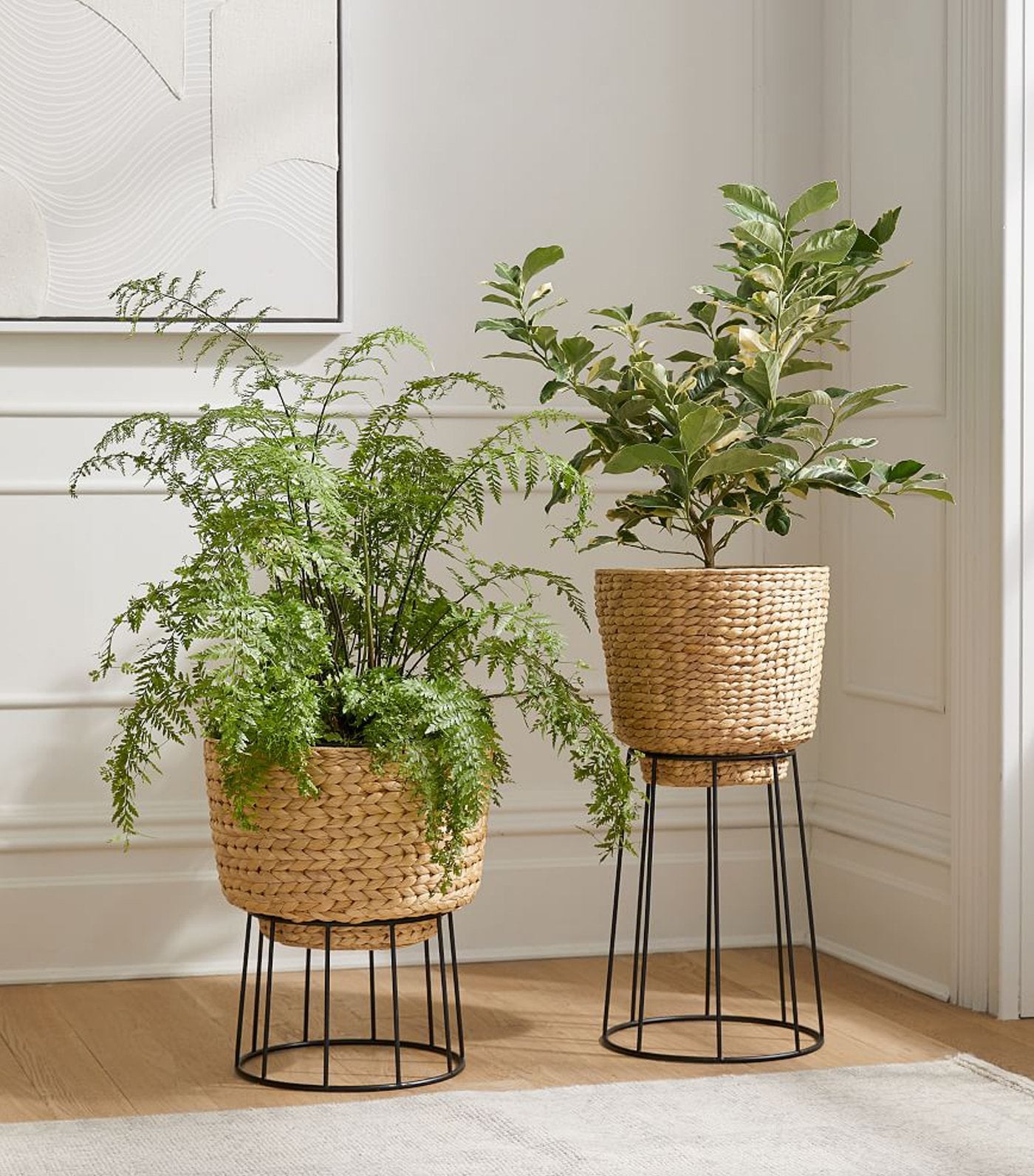 west elm Hilo Basket Planter - Natural