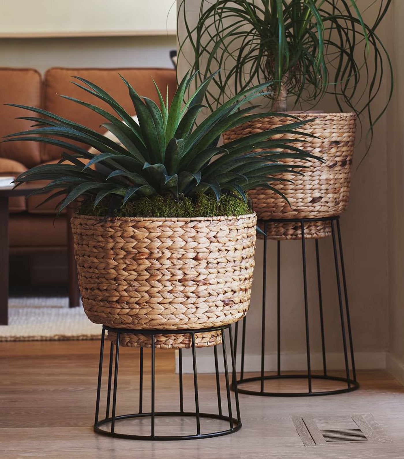 west elm Hilo Basket Planter - Natural
