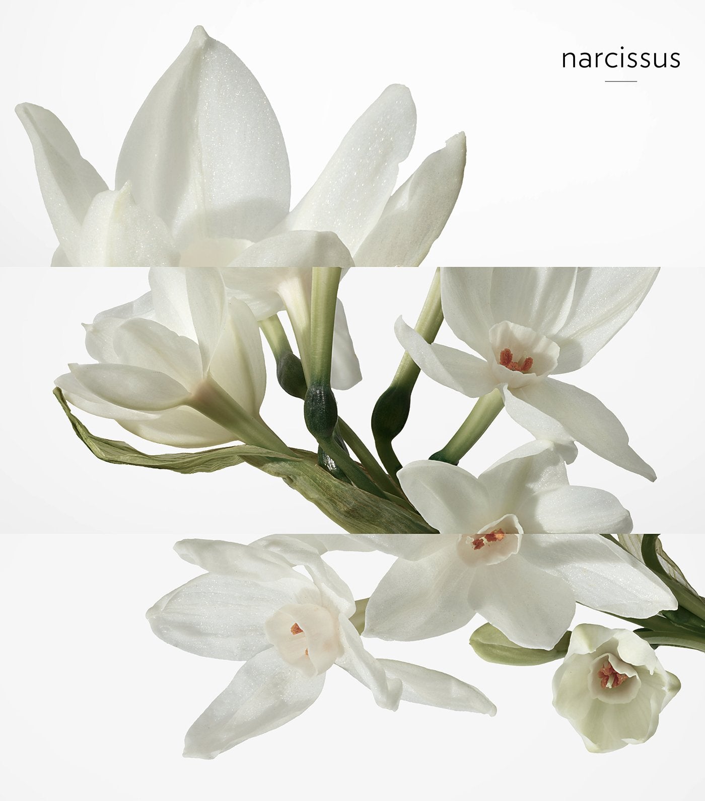 H24, Eau de toilette Refill