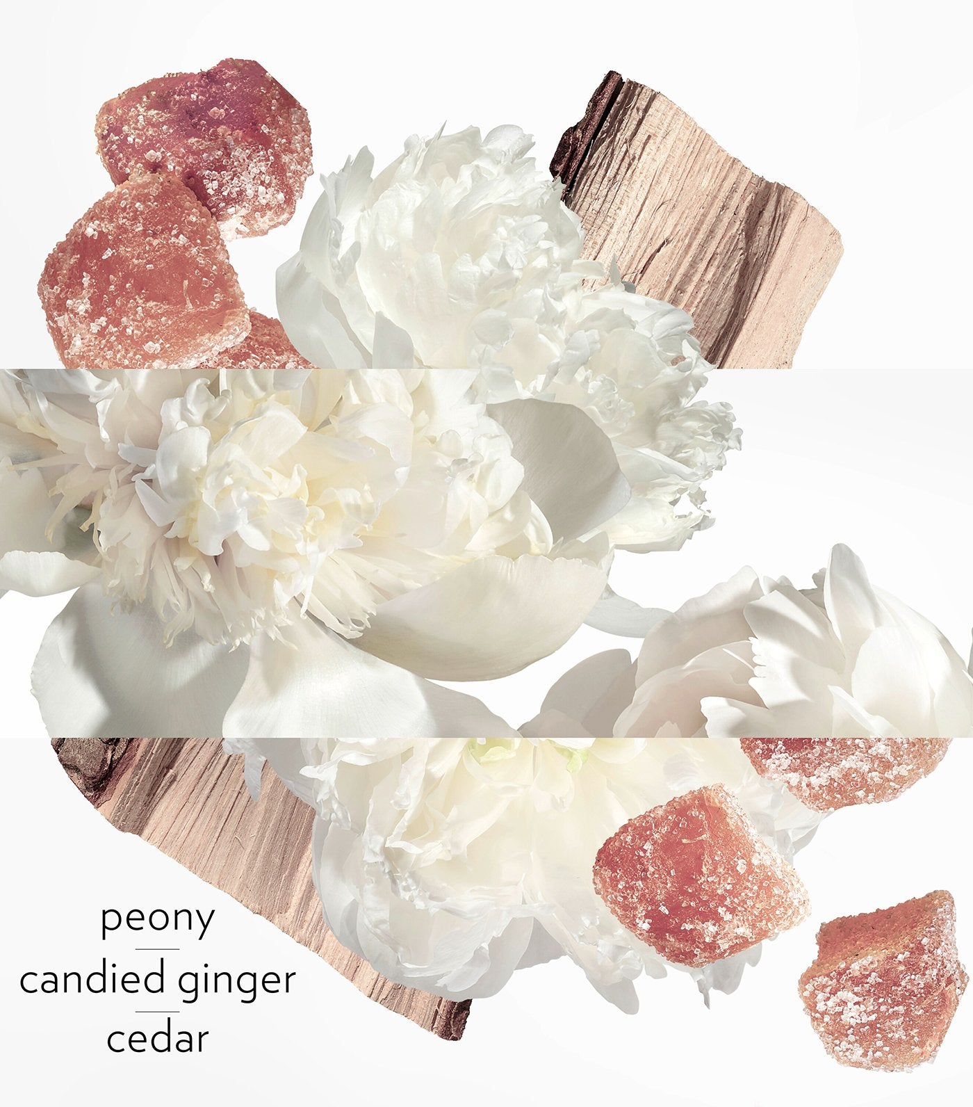 Twilly Eau Ginger Eau de Parfum