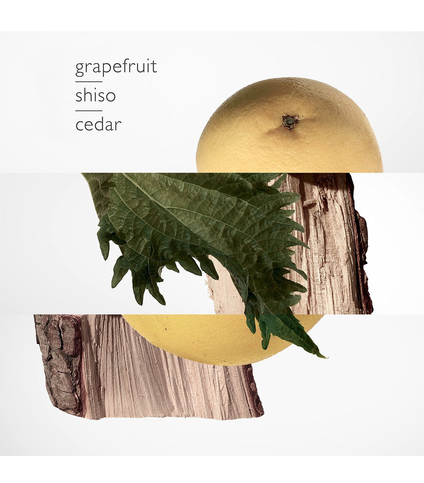 Terre d'Hermès Parfum 75ml