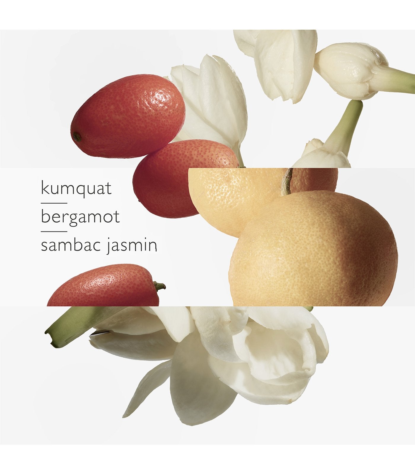 Le Jardin de Monsieur Li Eau de Toilette