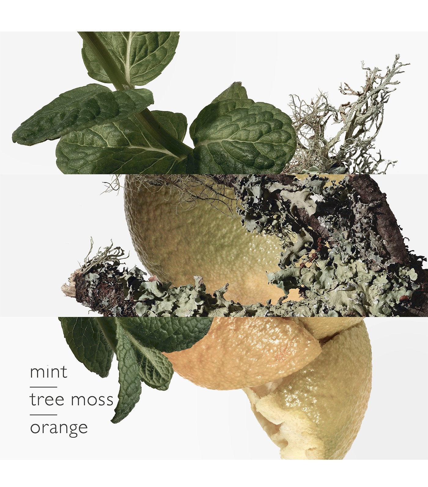 Eau d'Orange Verte Eau de Cologne 100ml