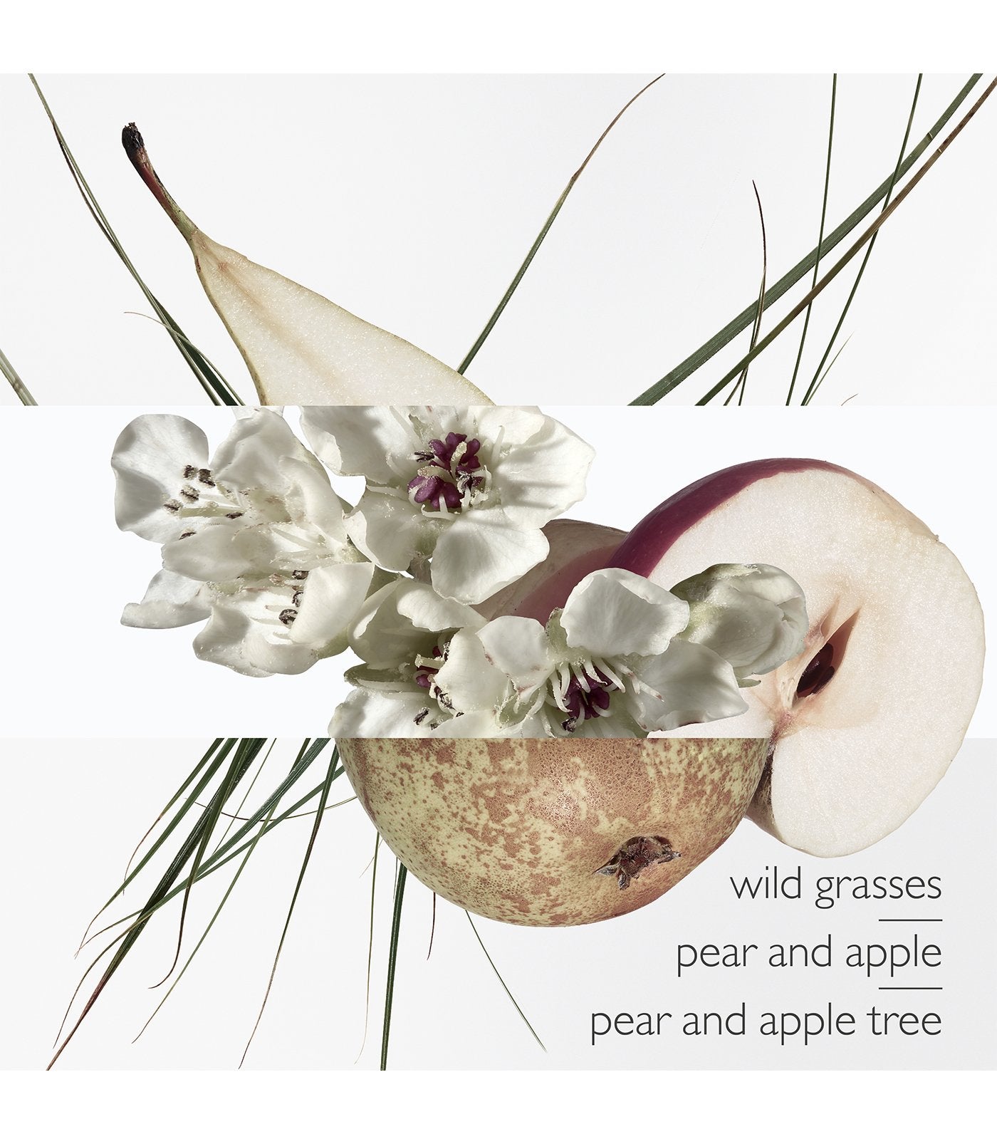 Un Jardin sur le Toit Eau de Toilette