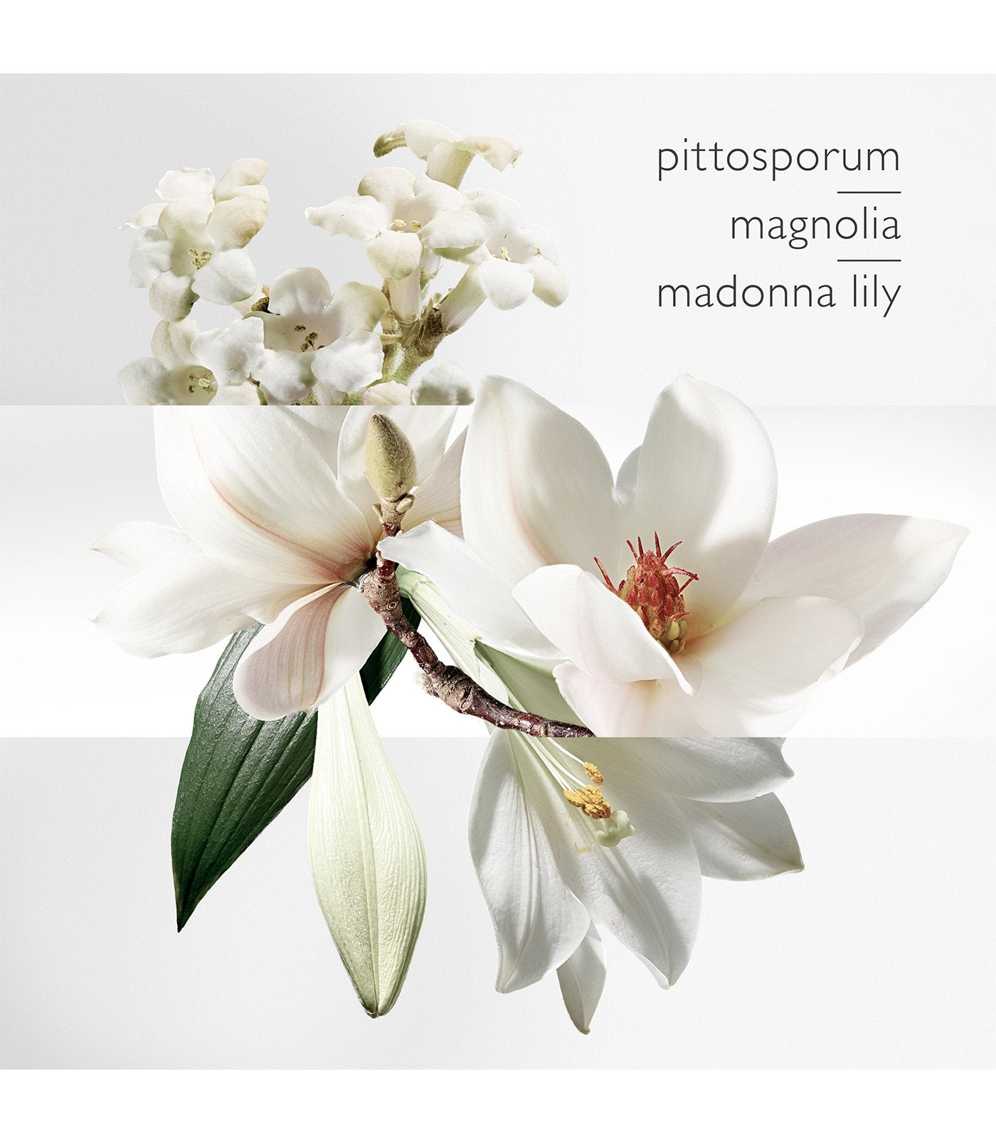 Un Jardin sur la Lagune Eau de Toilette