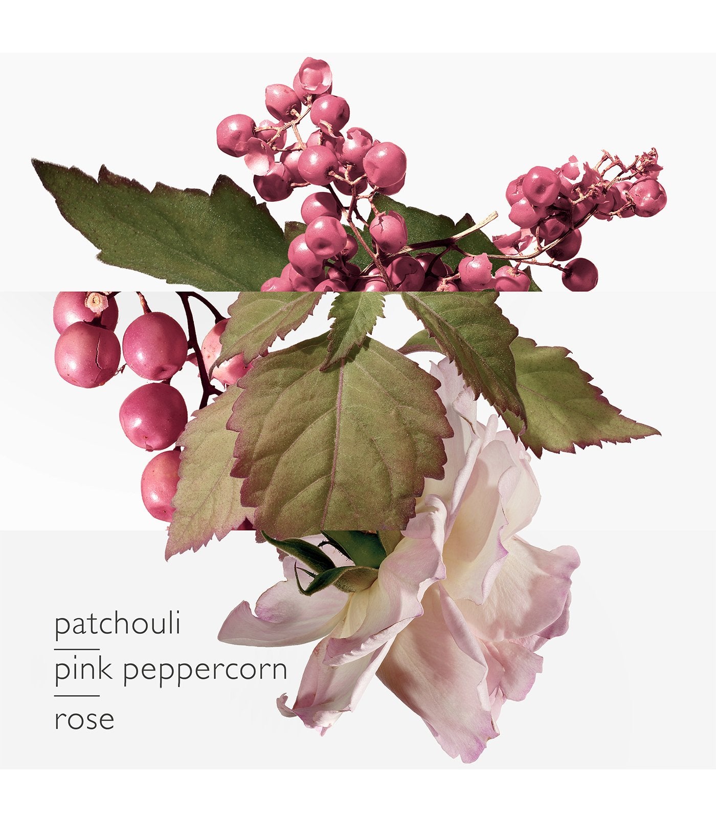 Twilly d'Hermès Eau Poivrée Eau de Parfum Limited Edition Charming Twilly 85ml