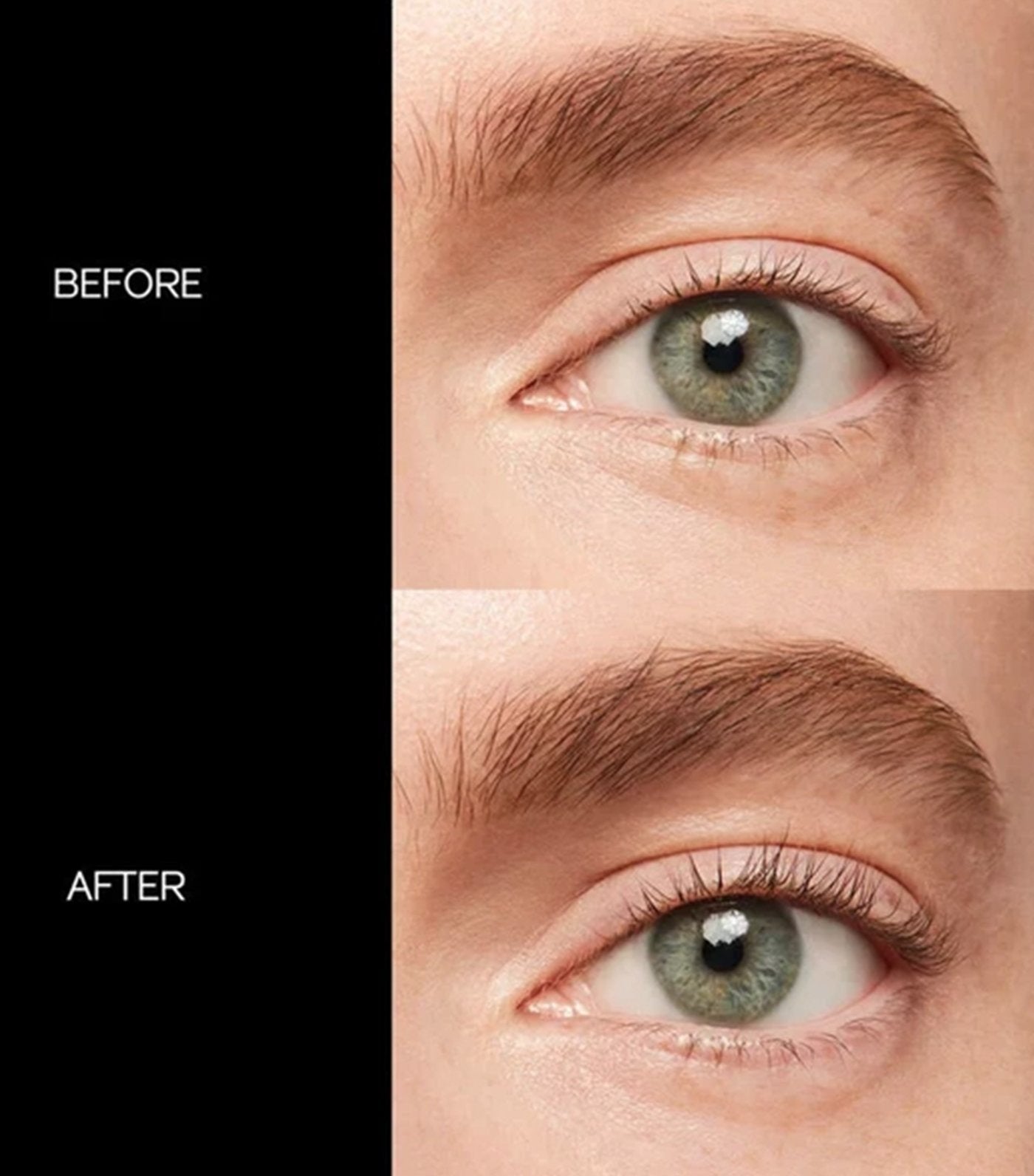 shiseido eyelash curler