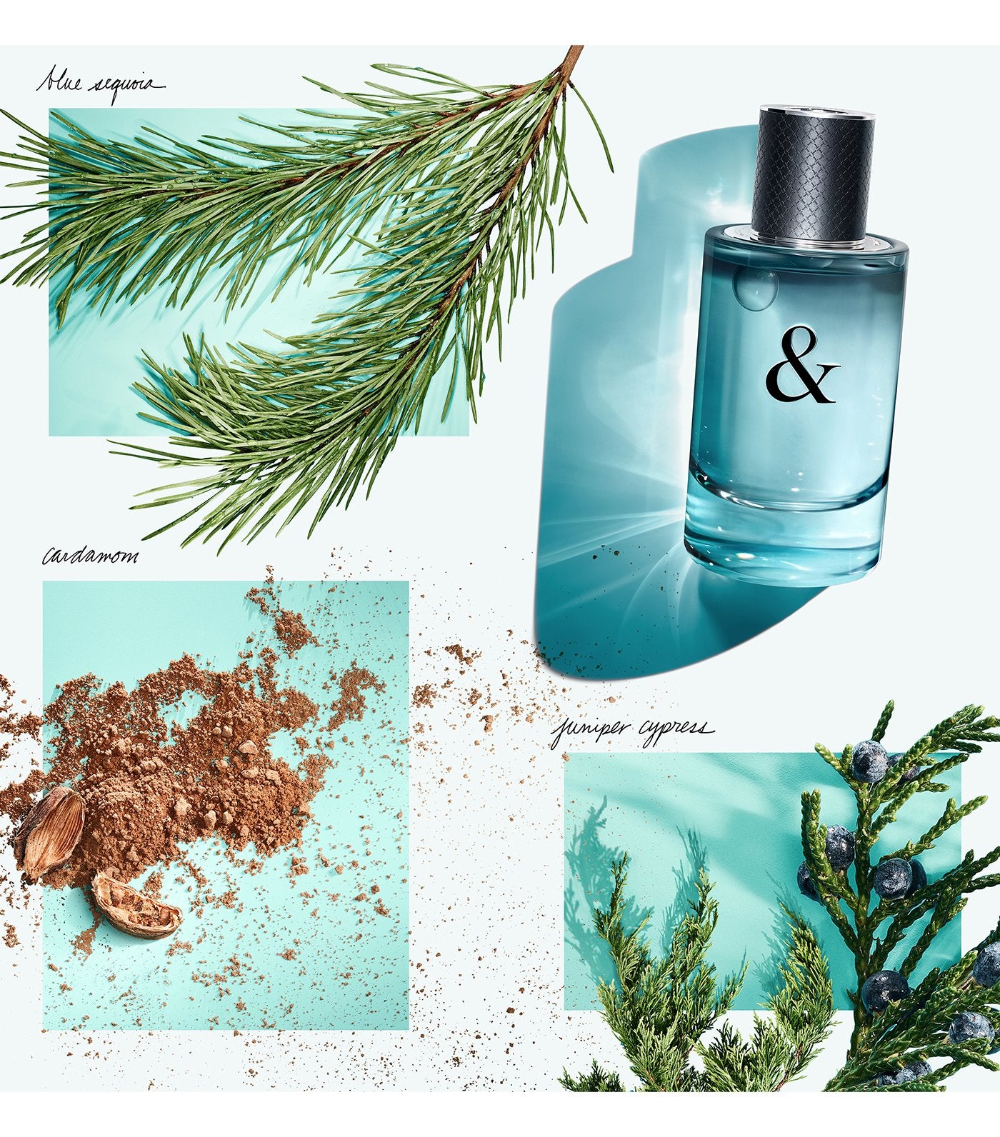 Tiffany & Love Eau de Toilette for Him
