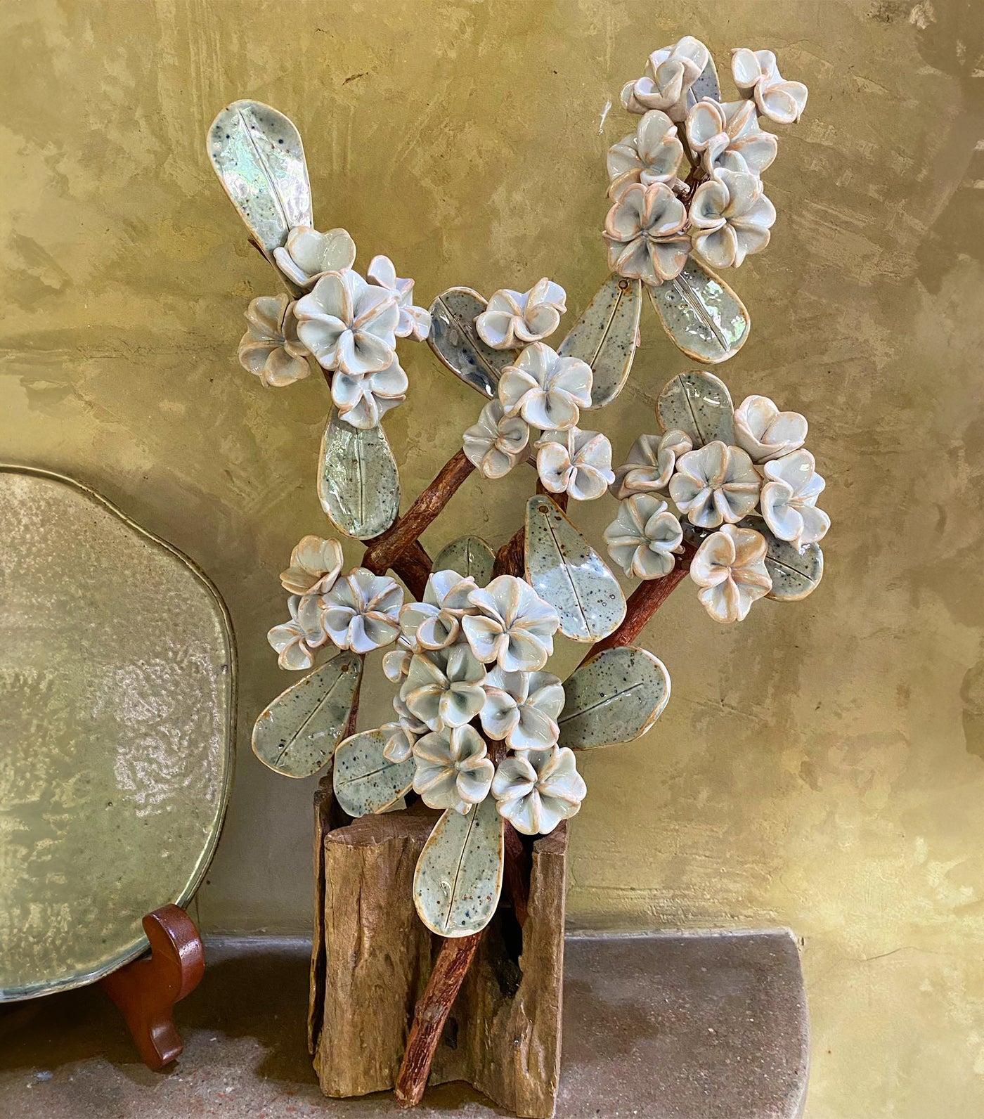 Calachuchi Tabletop