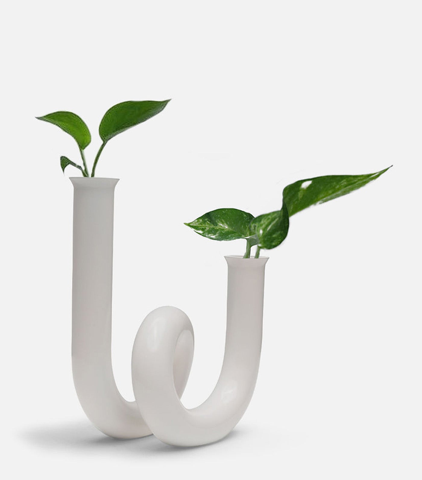 Curly Vase