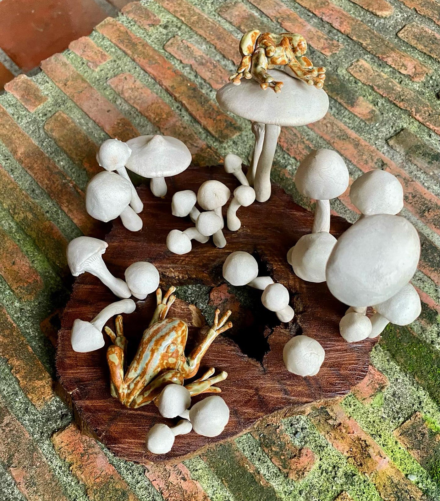 Mushroom Tabletop