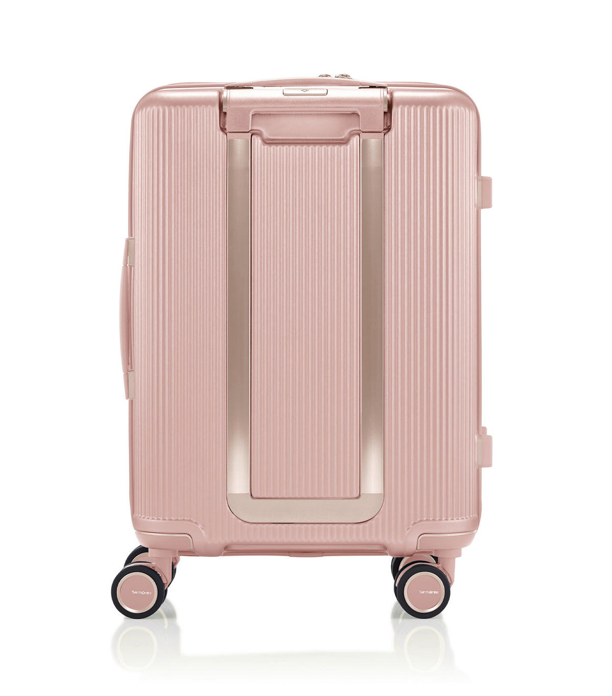 Minter Cherry Blossoms