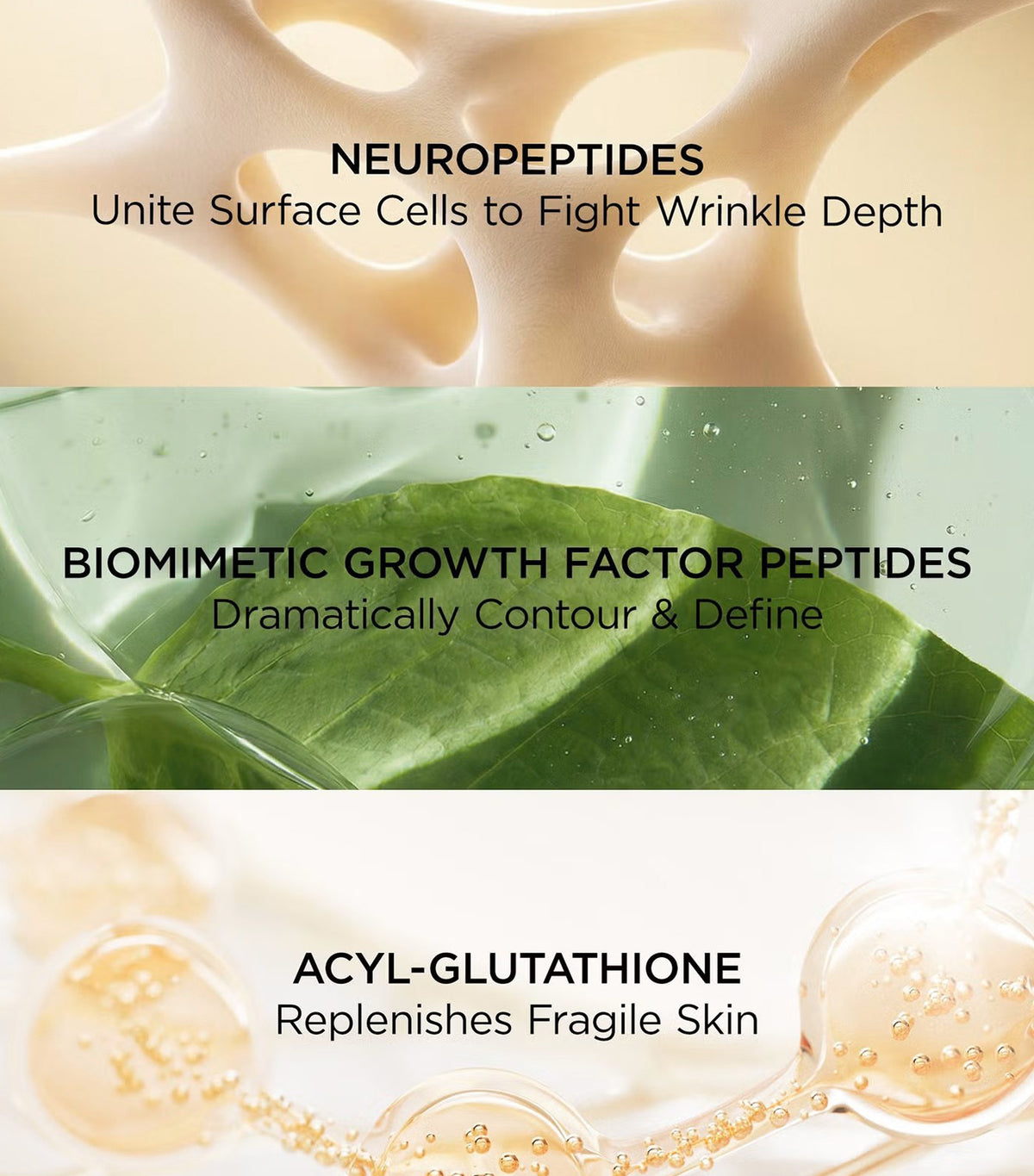 Neuropeptide Eyelid Lift Serum