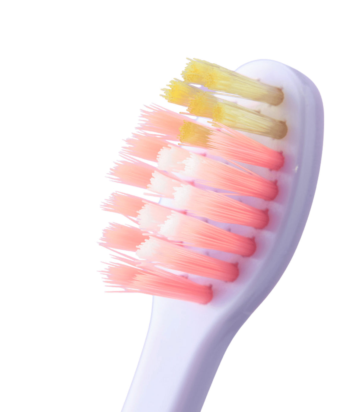 Kids Toothbrush Set Vivid