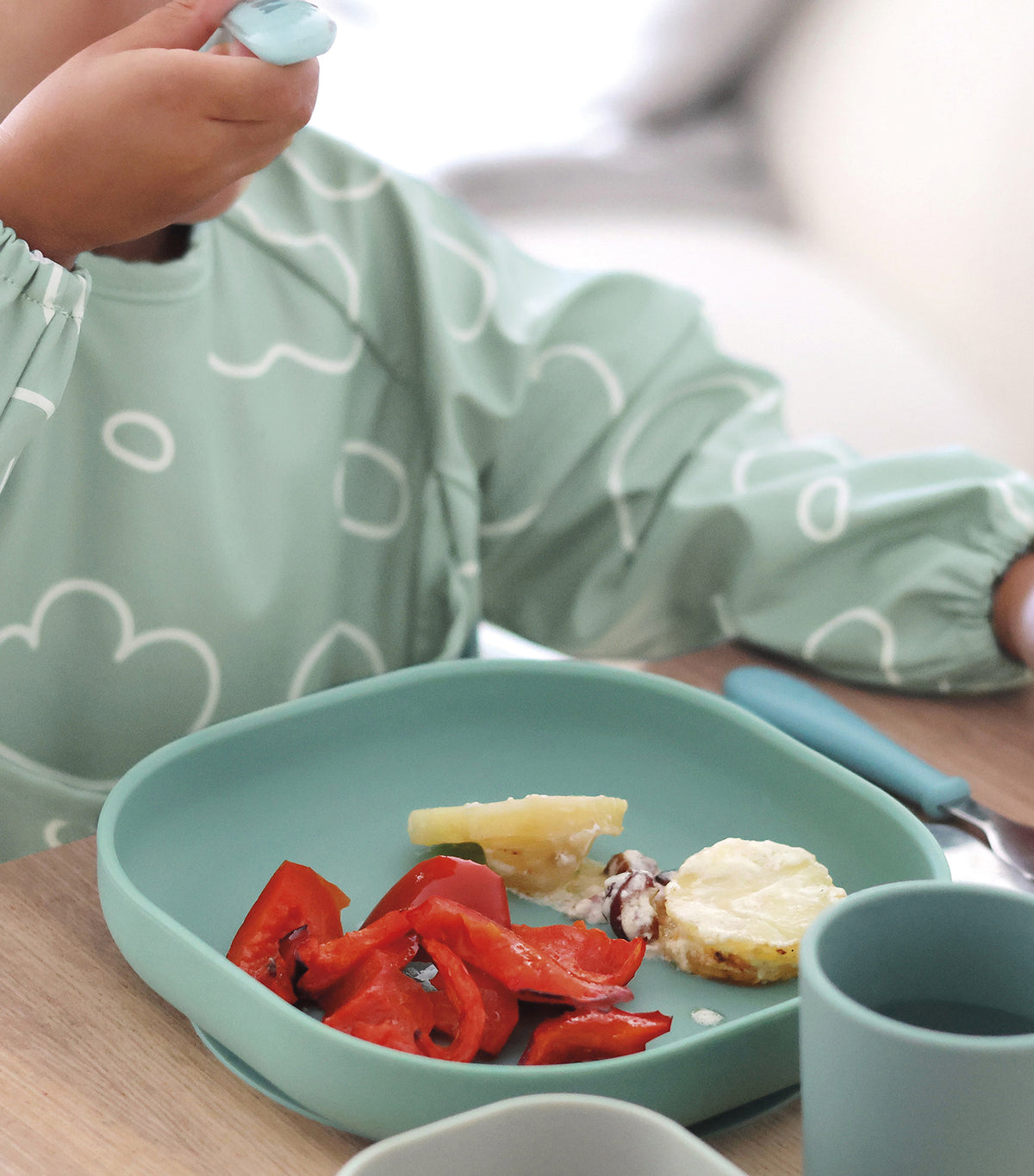 2-in-1 Bib with Removable Sleeves Sage Green