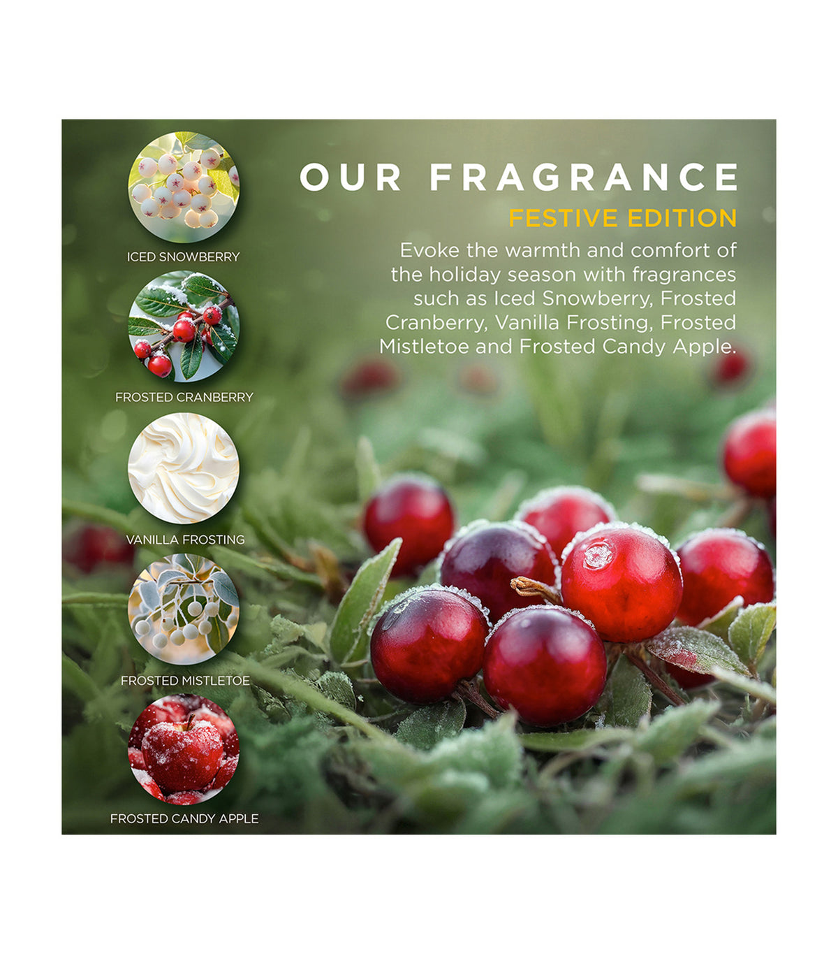 Festive Santa Beauty Bag Gift Set