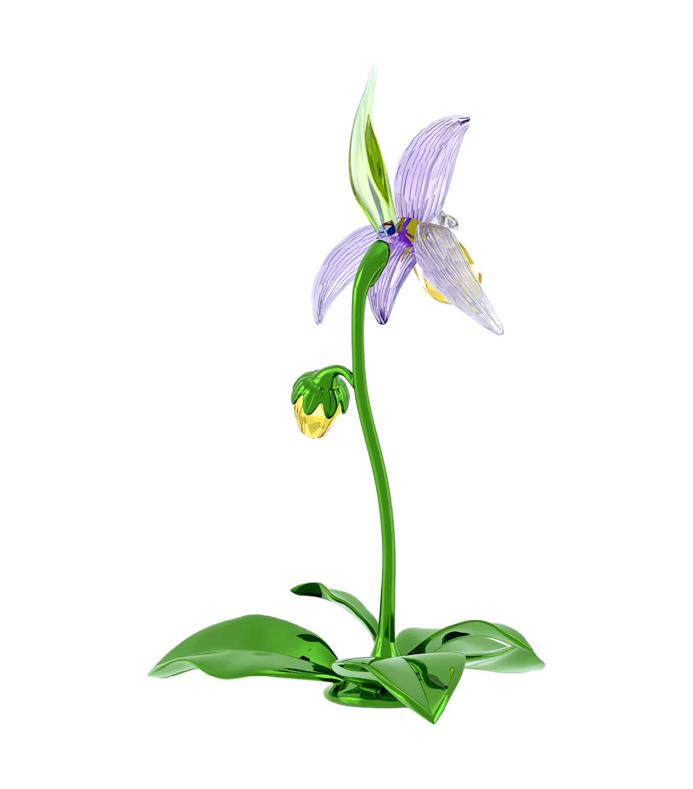 Florere Lady Slipper Orchid