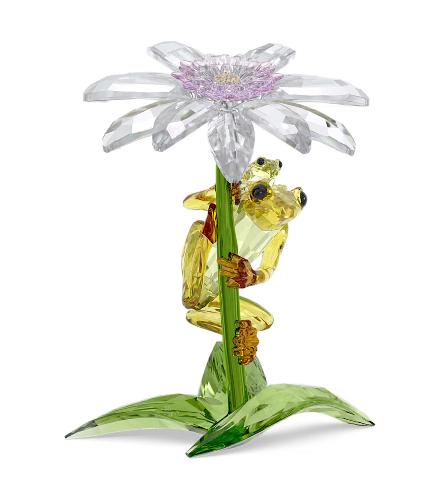 Idyllia Frogs and Flower